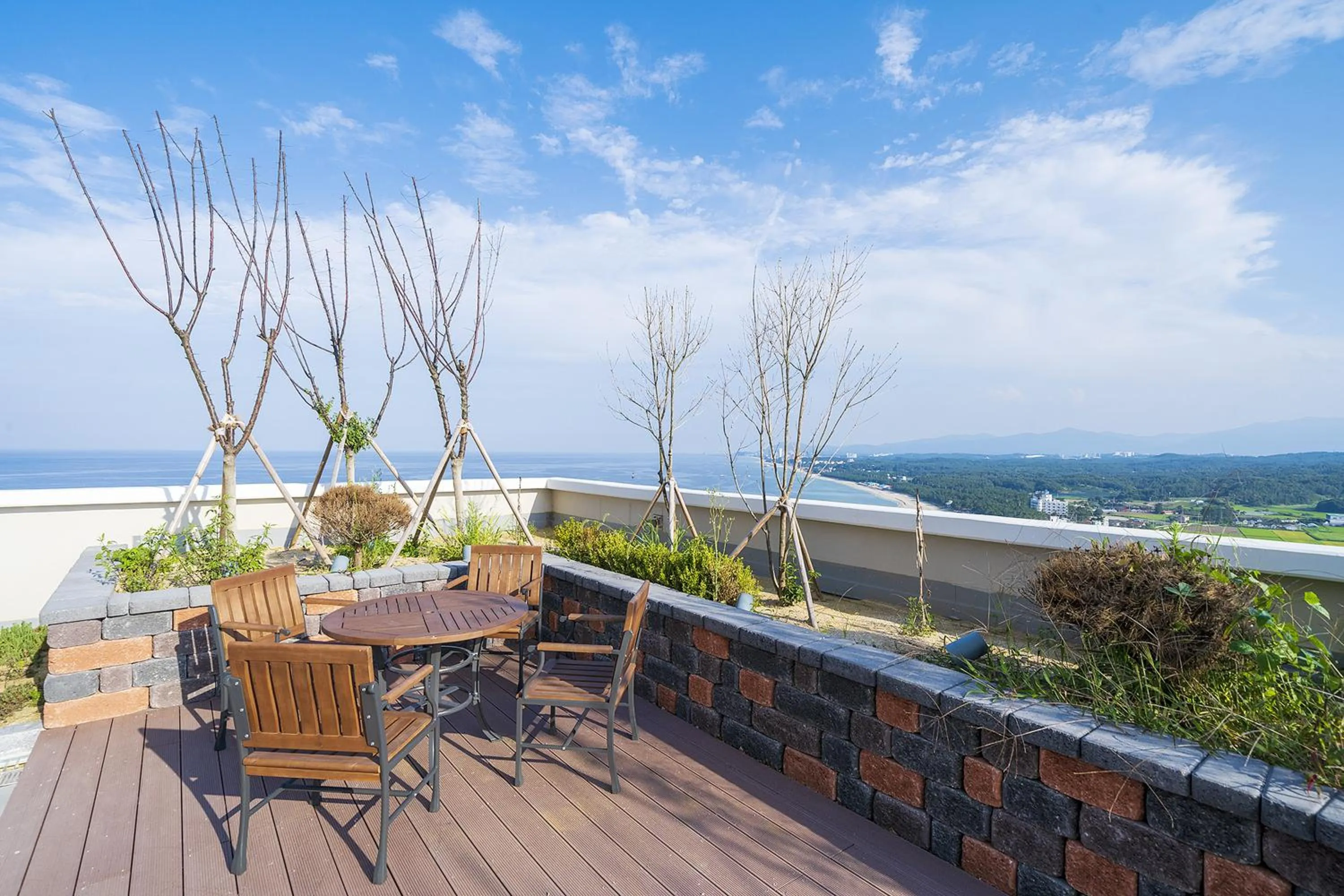 Restaurant/places to eat in Gangneung Chonpines Ocean Suites Hotel