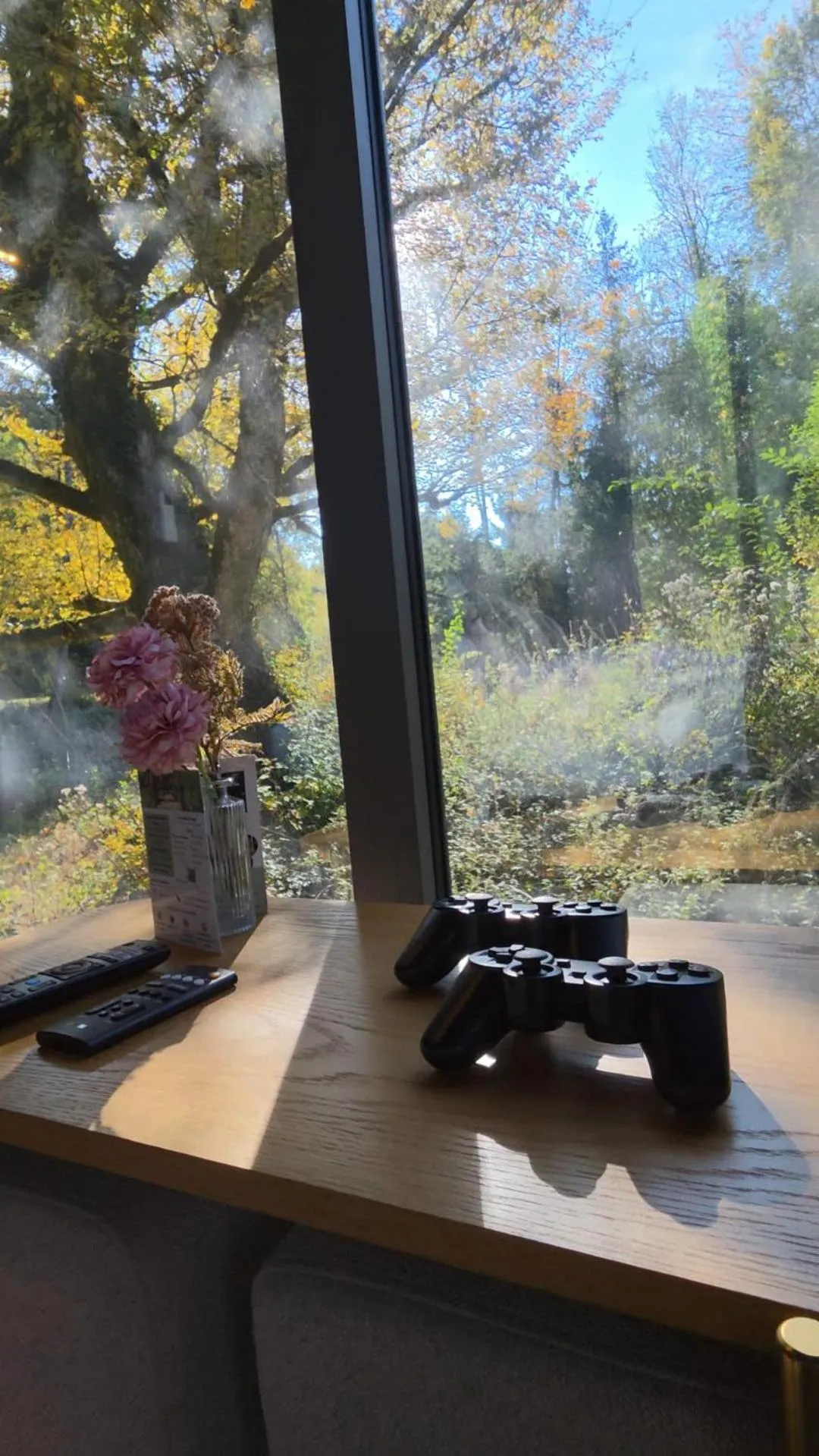 View (from property/room) in La Jonquette