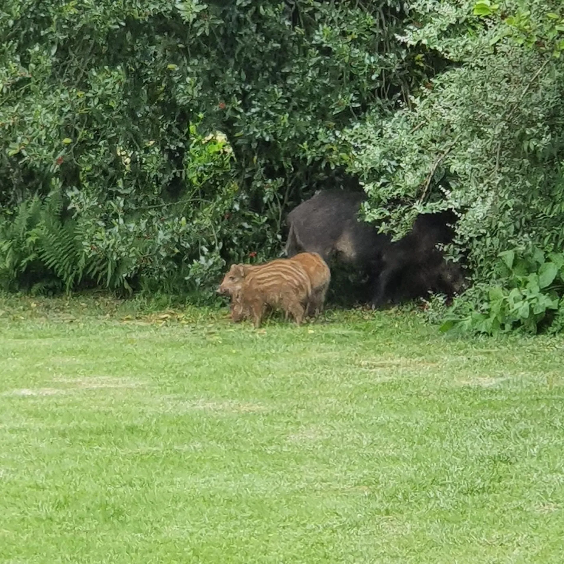 Natural landscape in La Jonquette