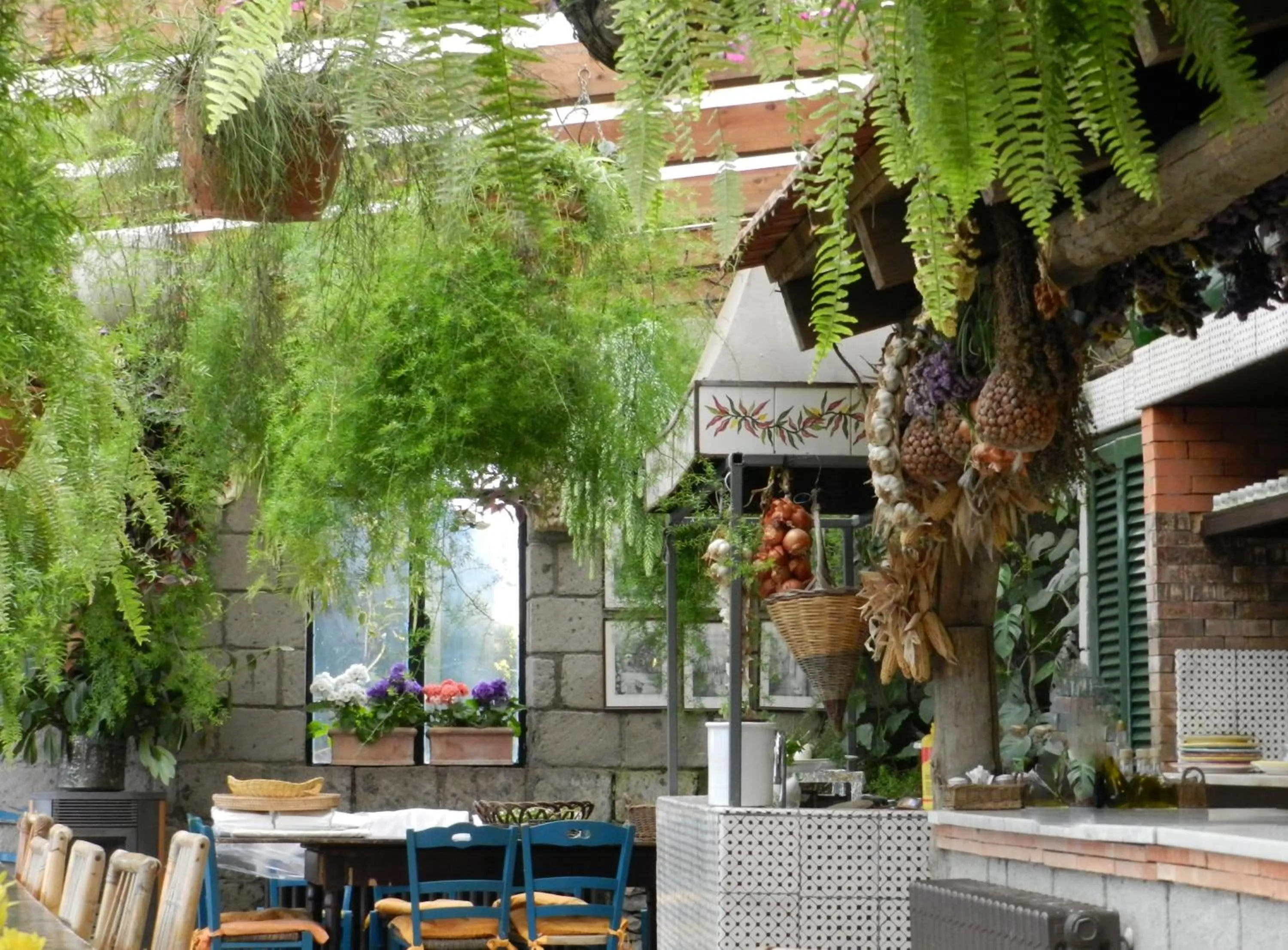 Restaurant/places to eat in Agriturismo Fattoria Terranova