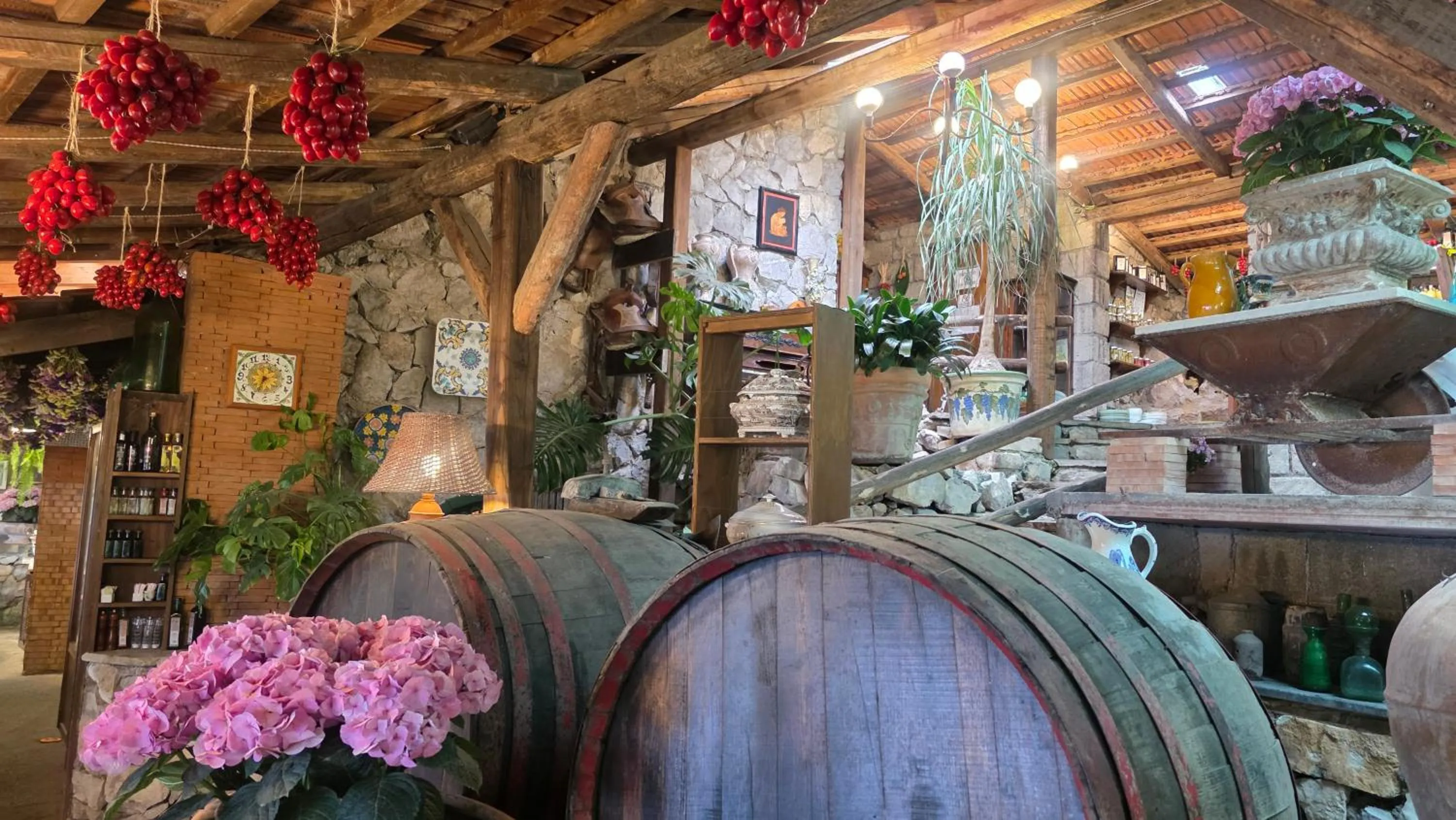 Lounge or bar in Agriturismo Fattoria Terranova