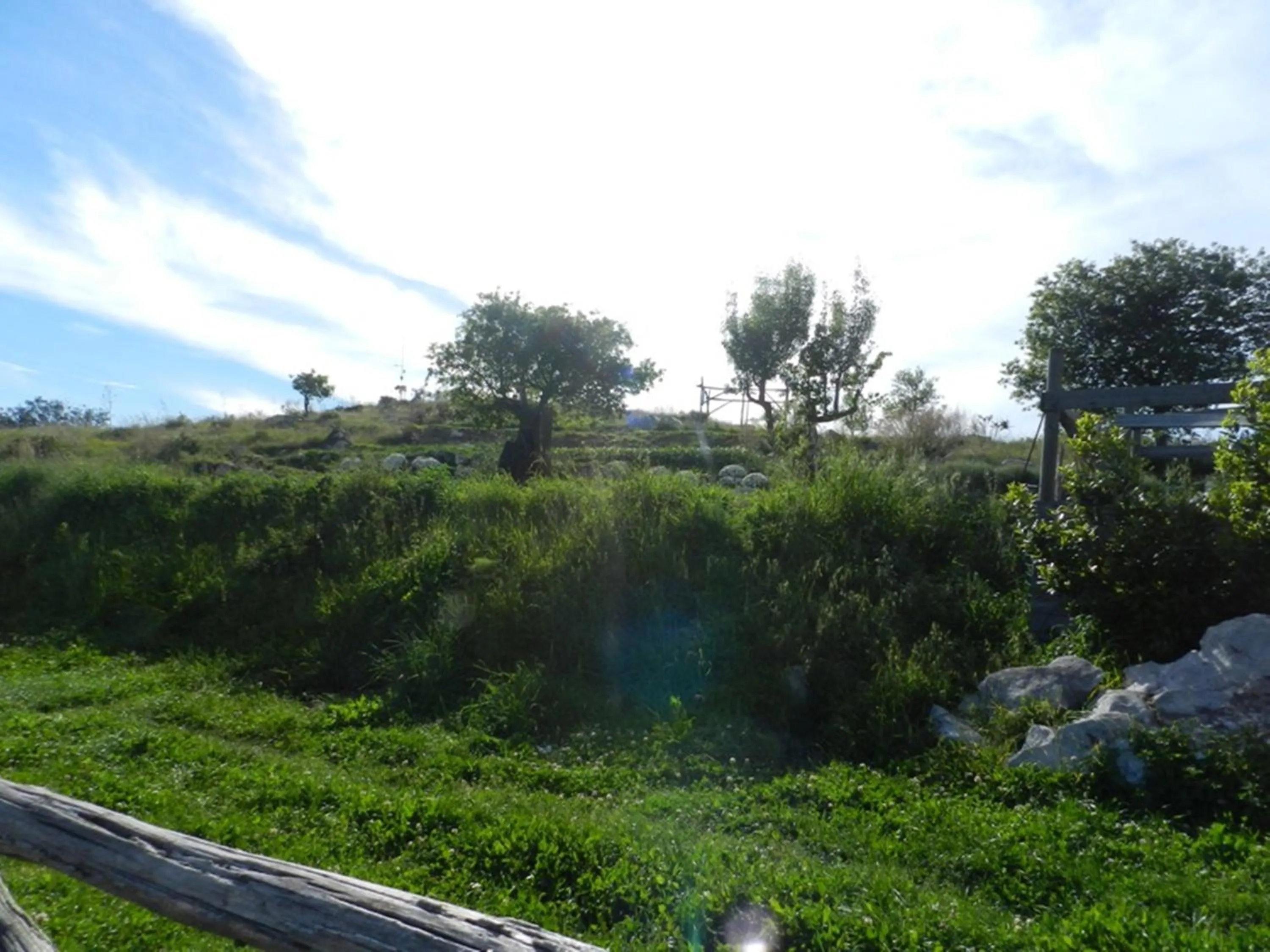 Garden in Agriturismo Fattoria Terranova