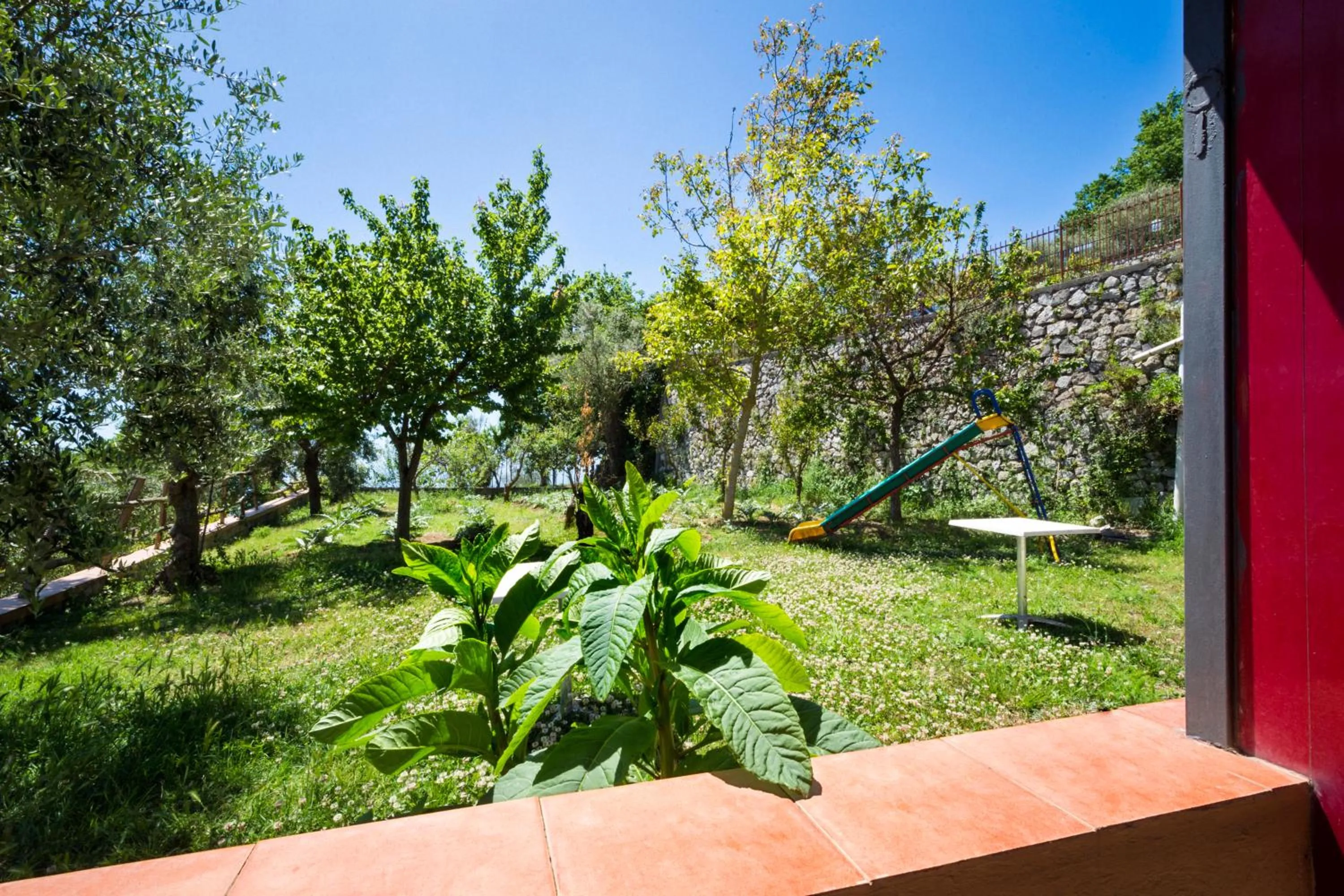 Garden in Agriturismo Fattoria Terranova