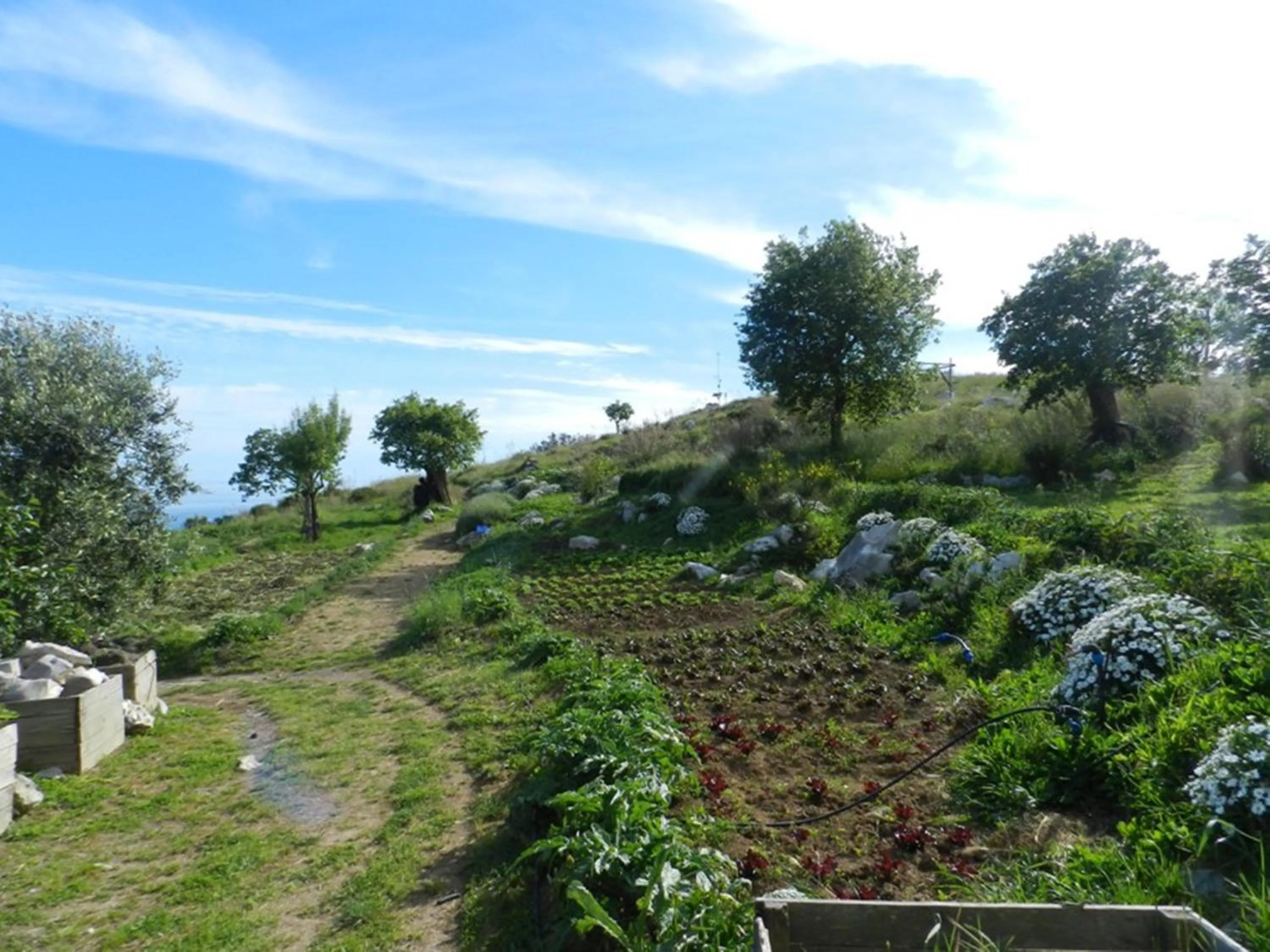 Garden in Agriturismo Fattoria Terranova