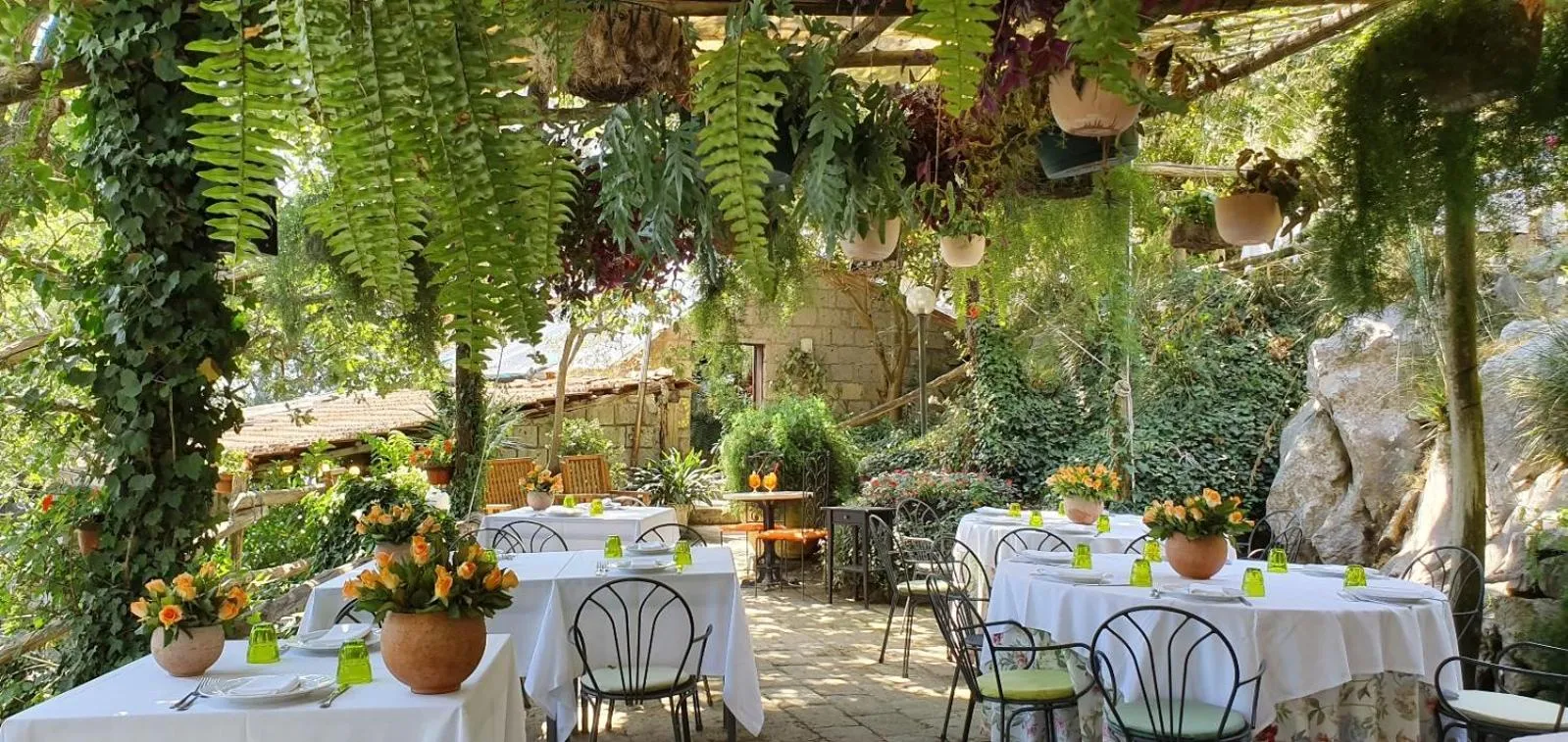 Restaurant/places to eat in Agriturismo Fattoria Terranova