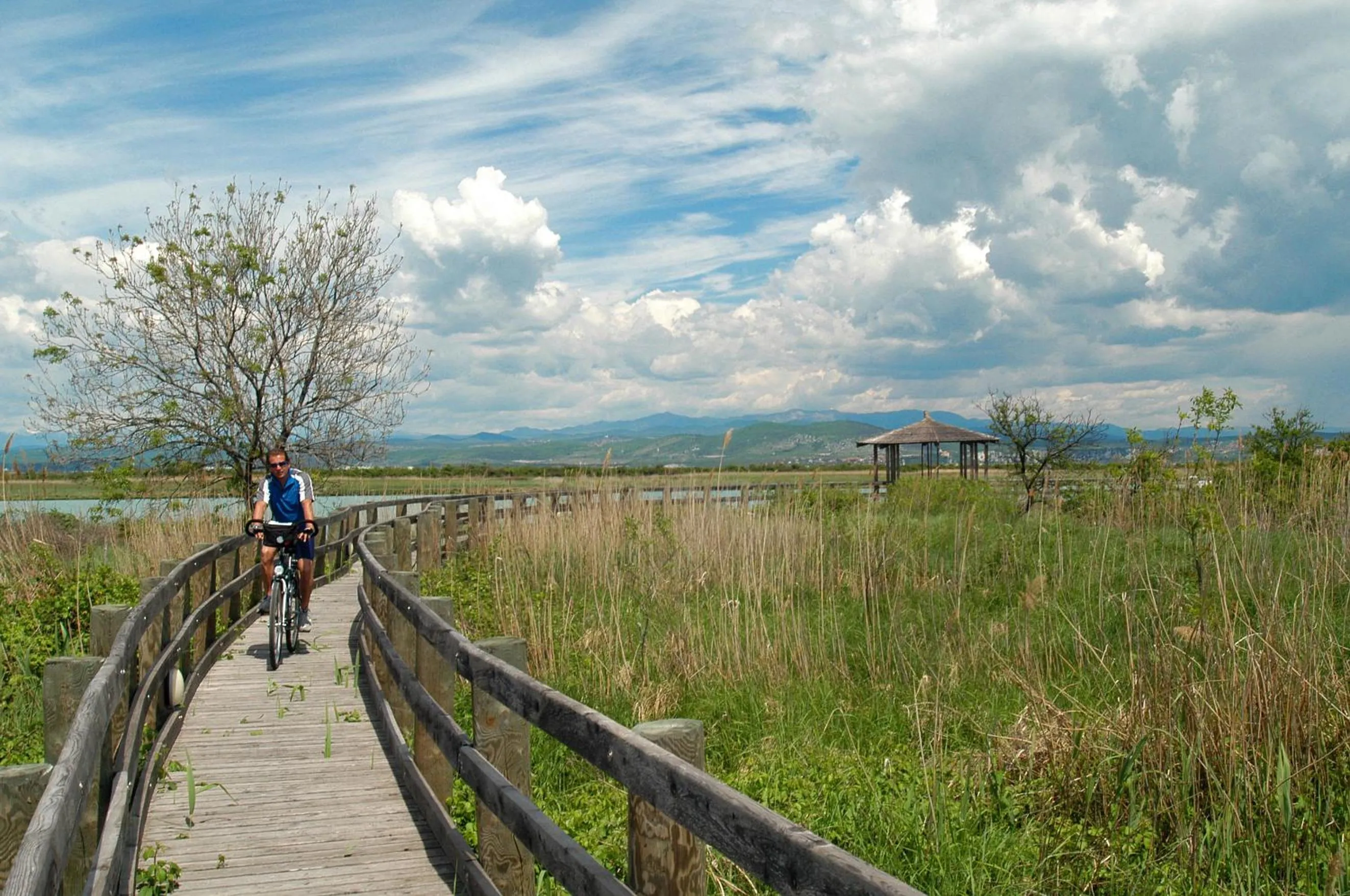 Area and facilities in Hotel Hannover