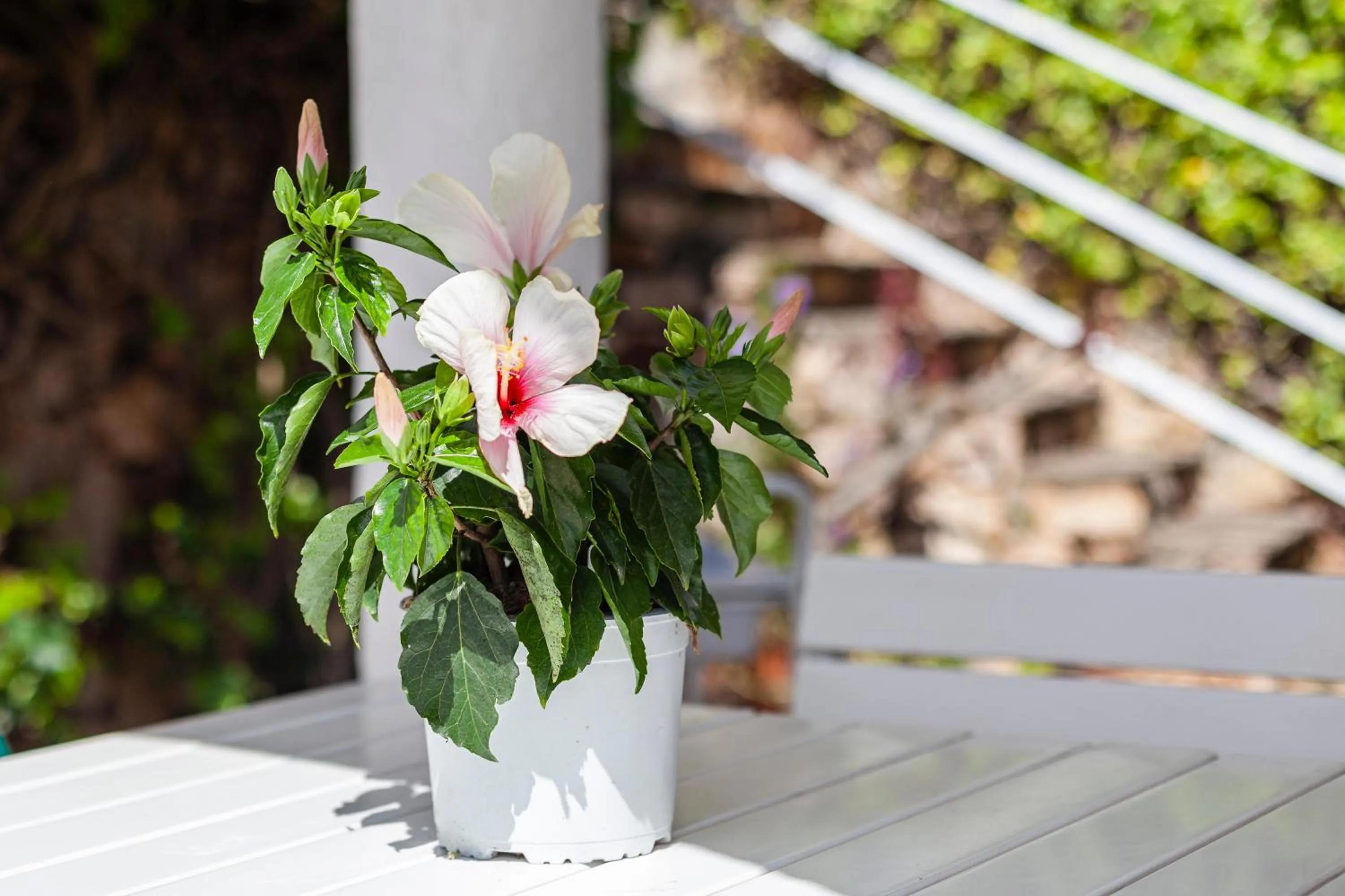 Casa Morisca vistas al mar