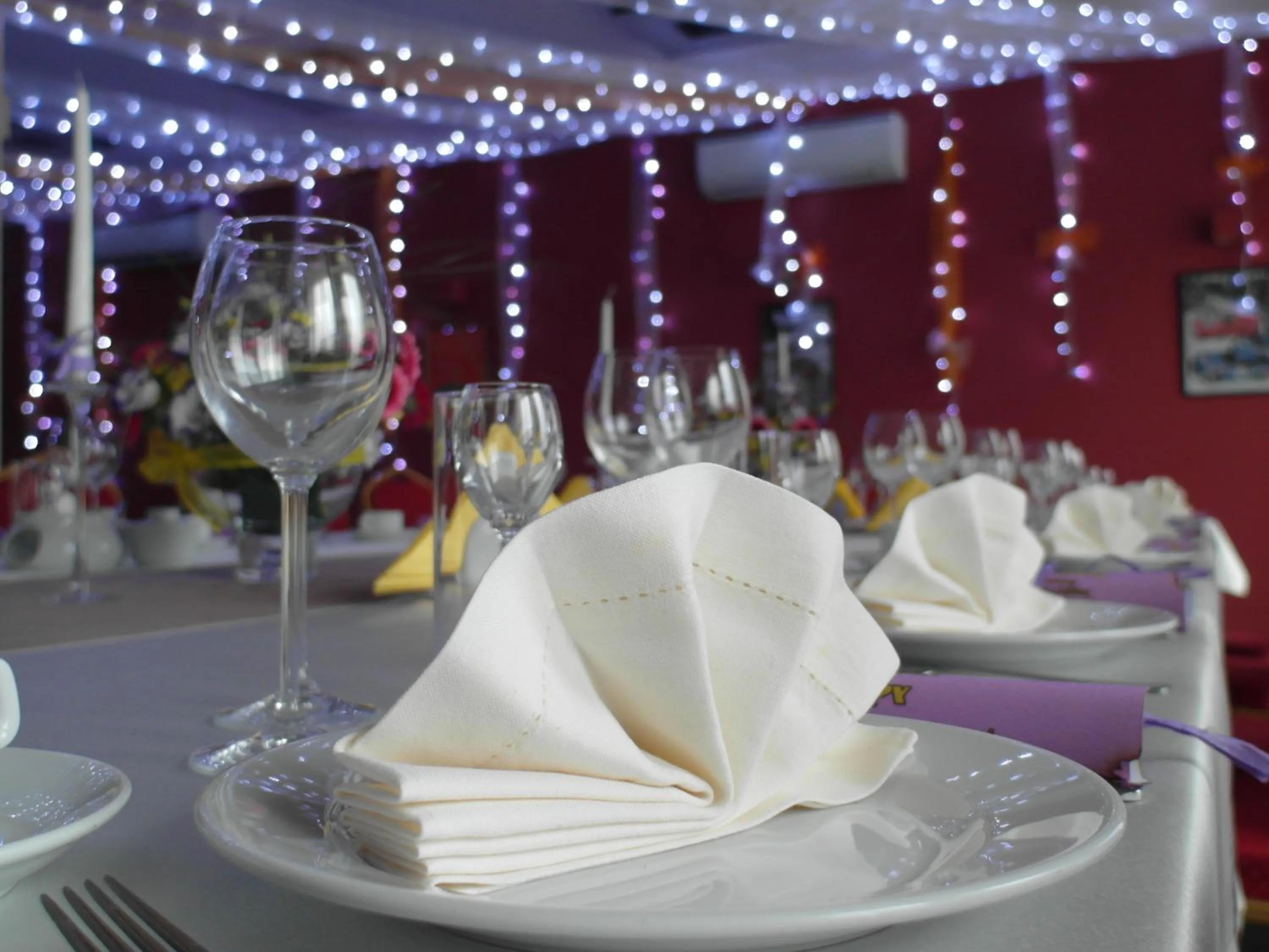 Banquet/Function facilities in GarageHotel