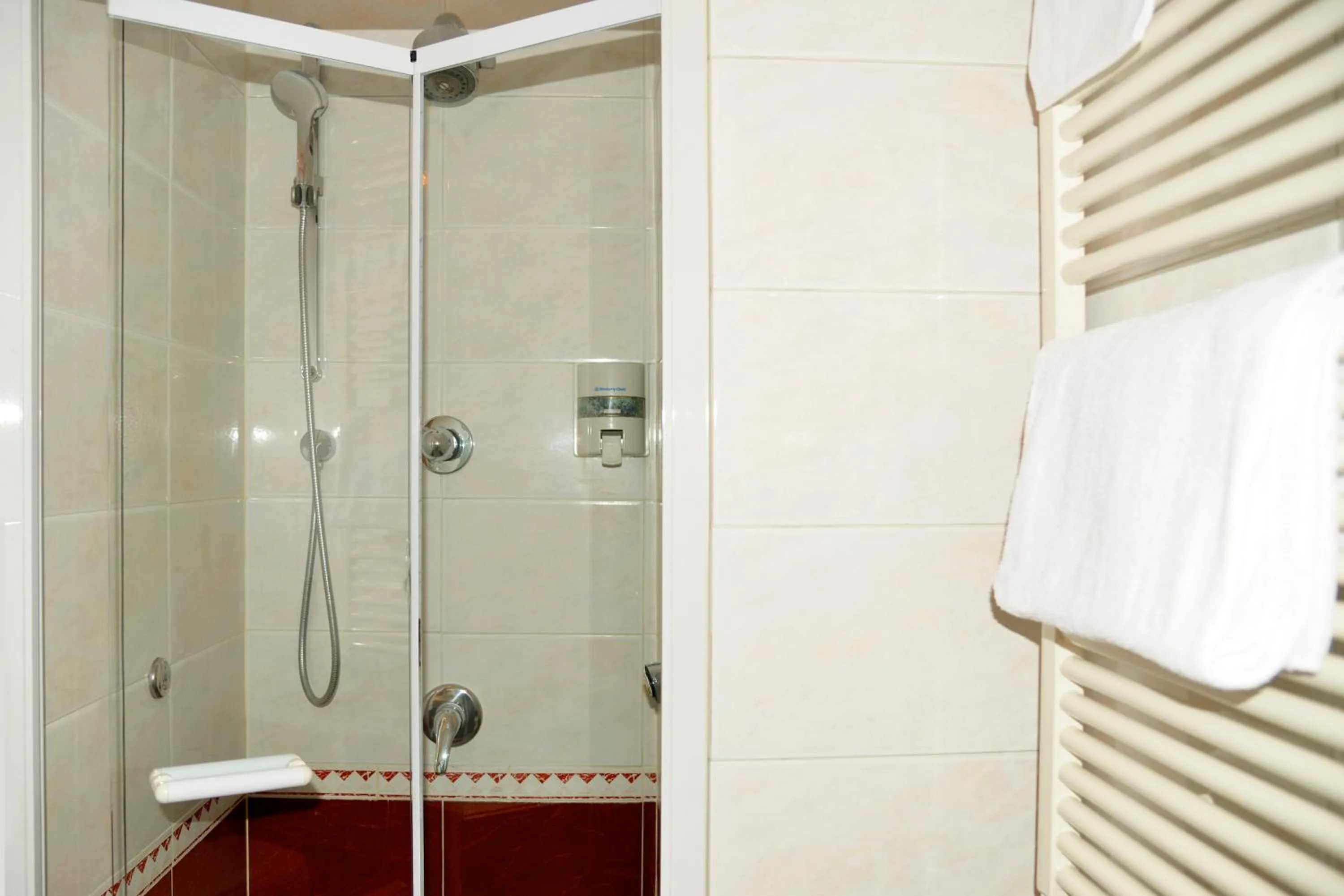 Shower in Hotel Giotto