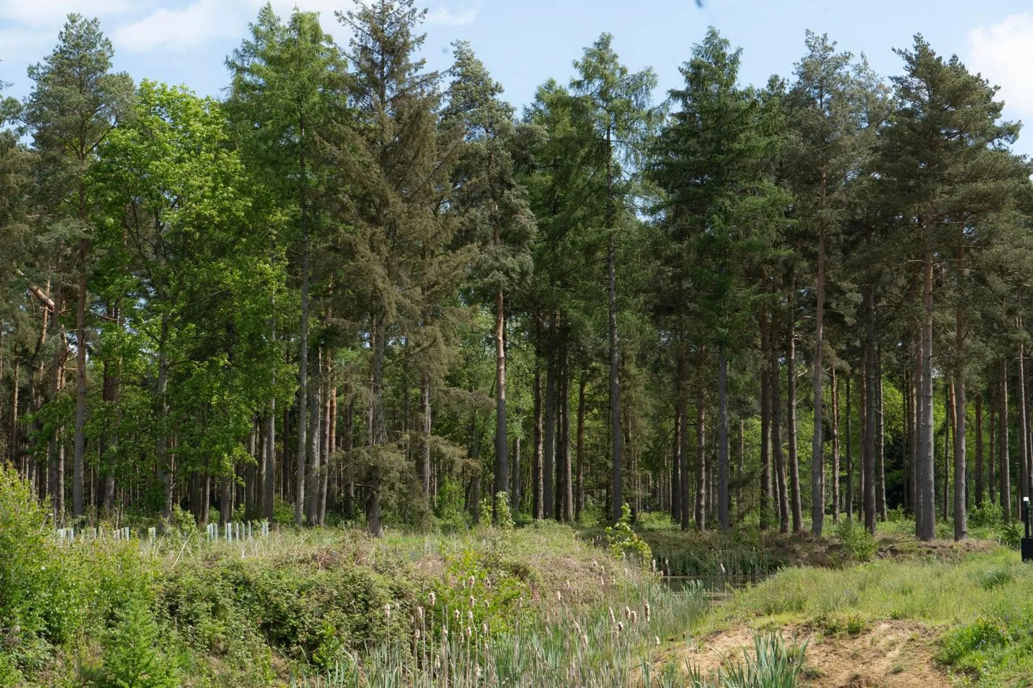 View (from property/room) in Hollicarrs - Lilypad Lodge
