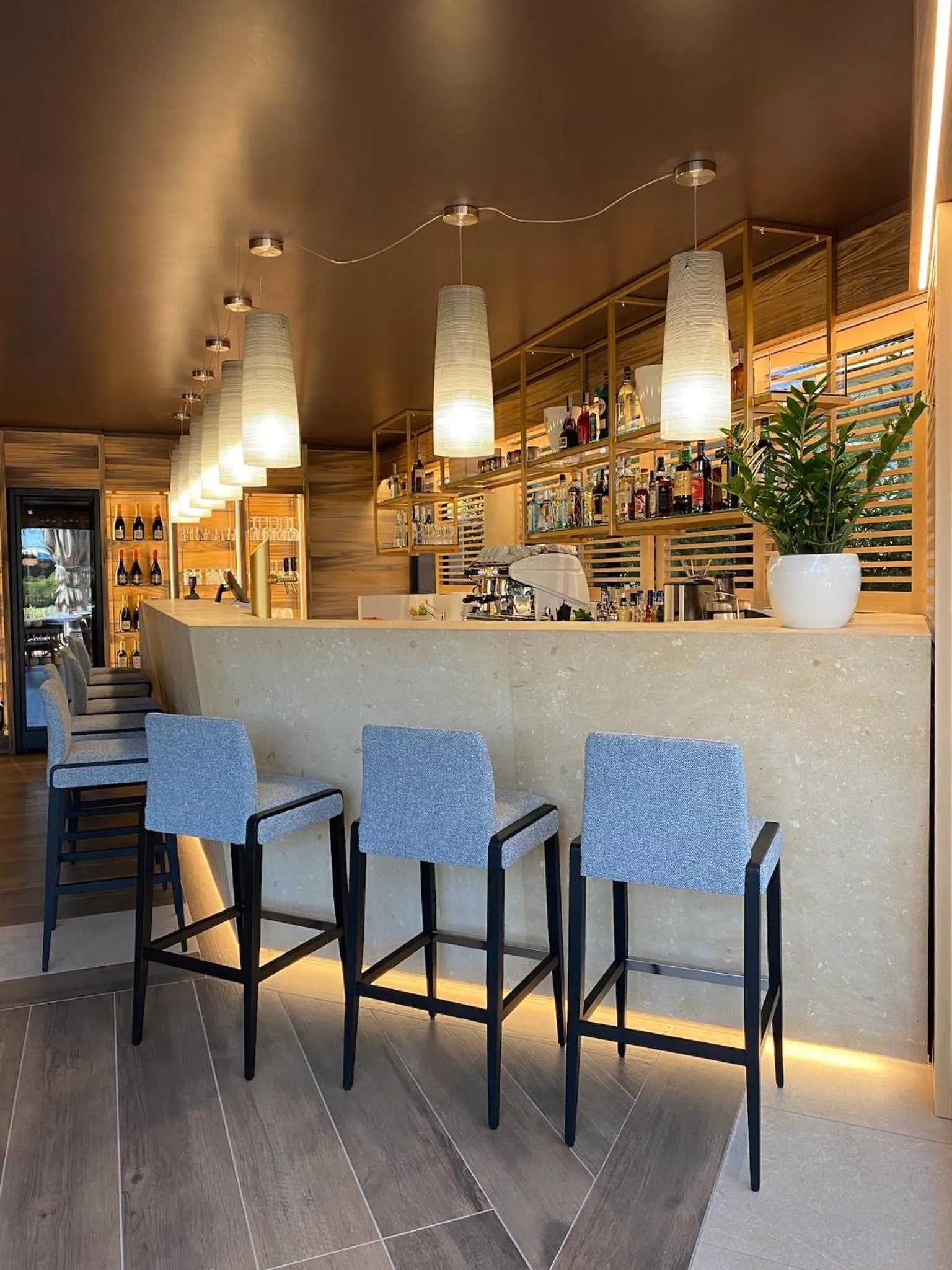 Lounge or bar in Alevic Hotel Sirmione