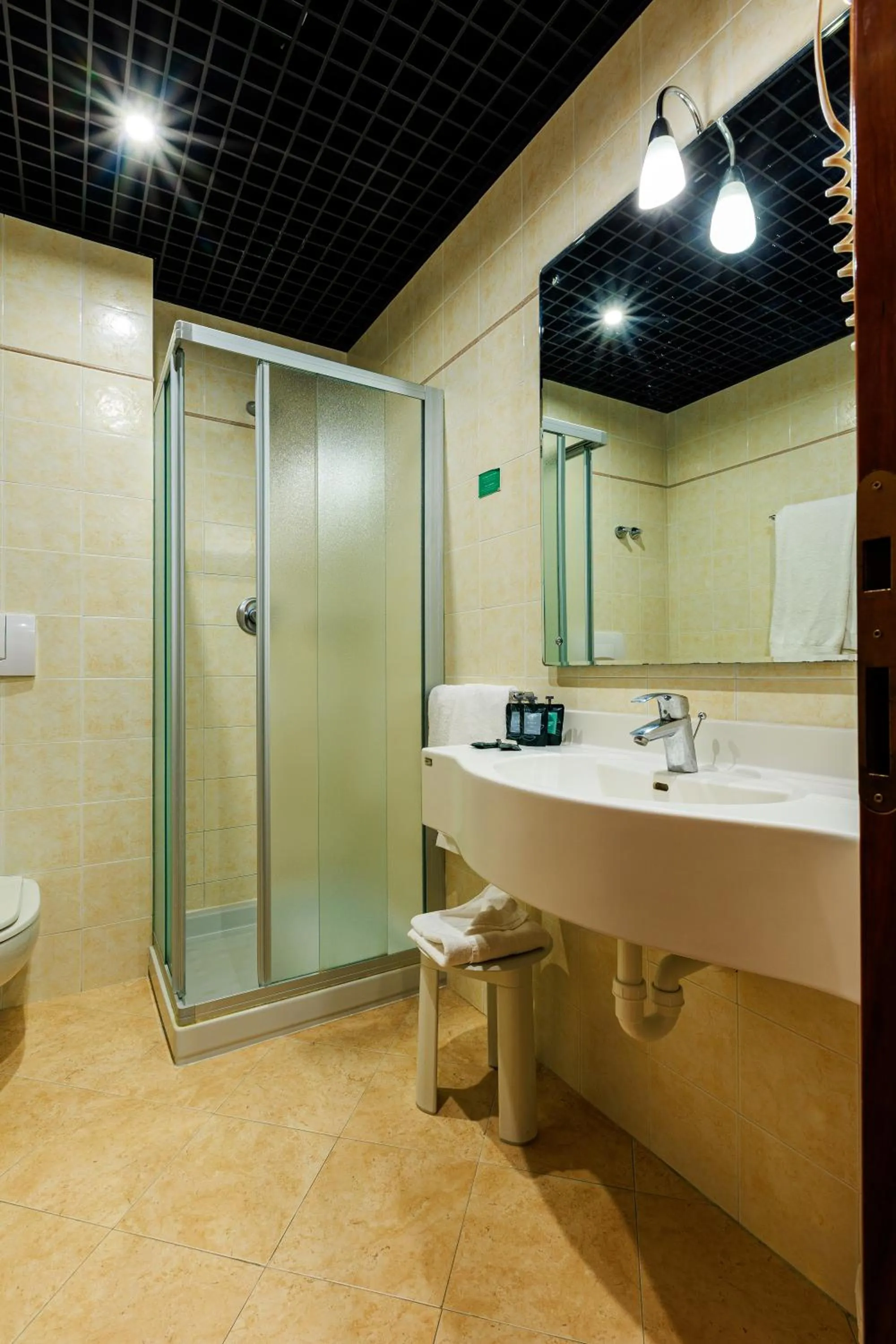 Hotel Excelsior Magenta