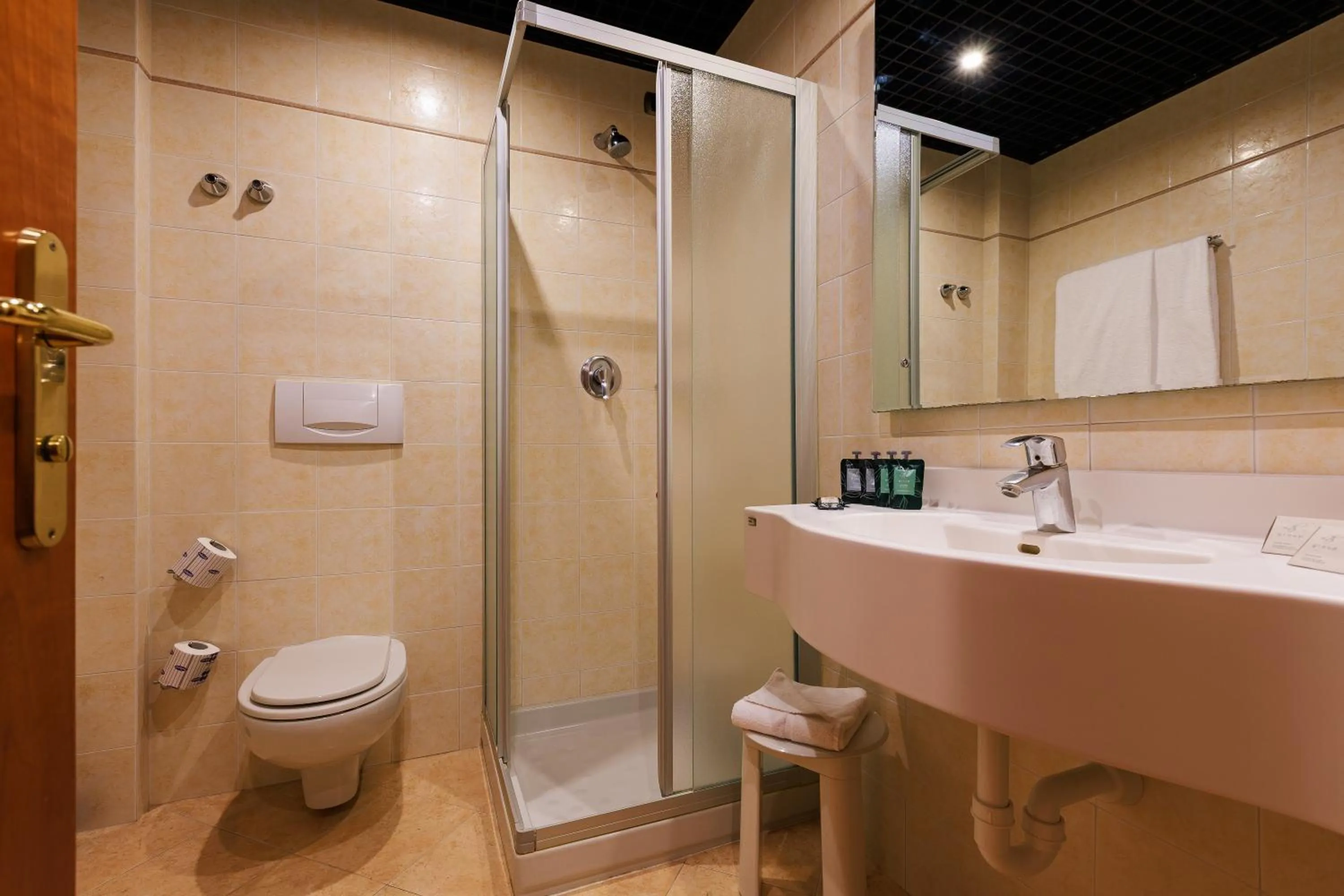 Hotel Excelsior Magenta