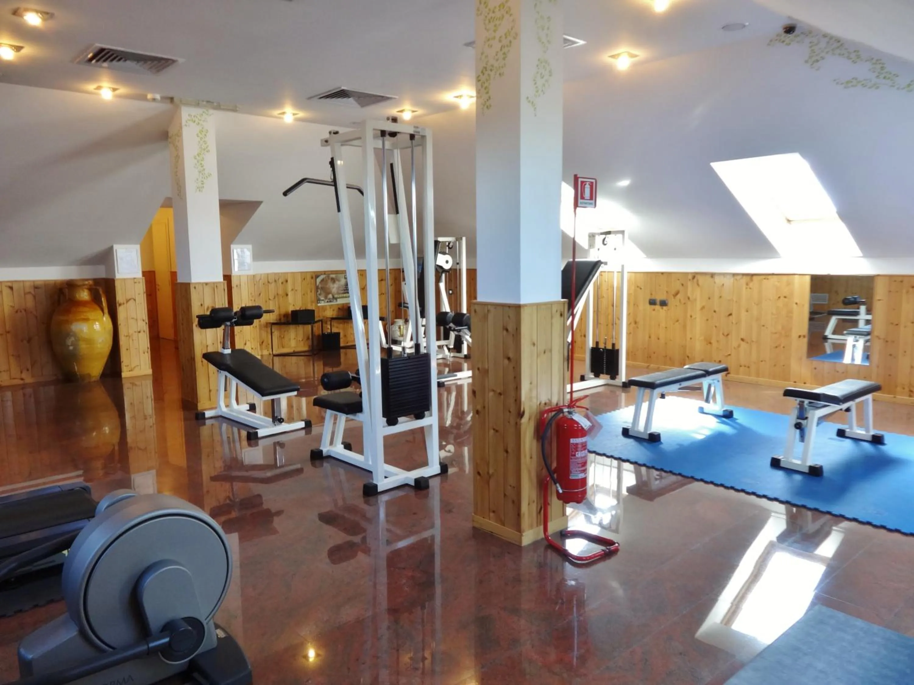 Fitness centre/facilities in Hotel Excelsior Magenta
