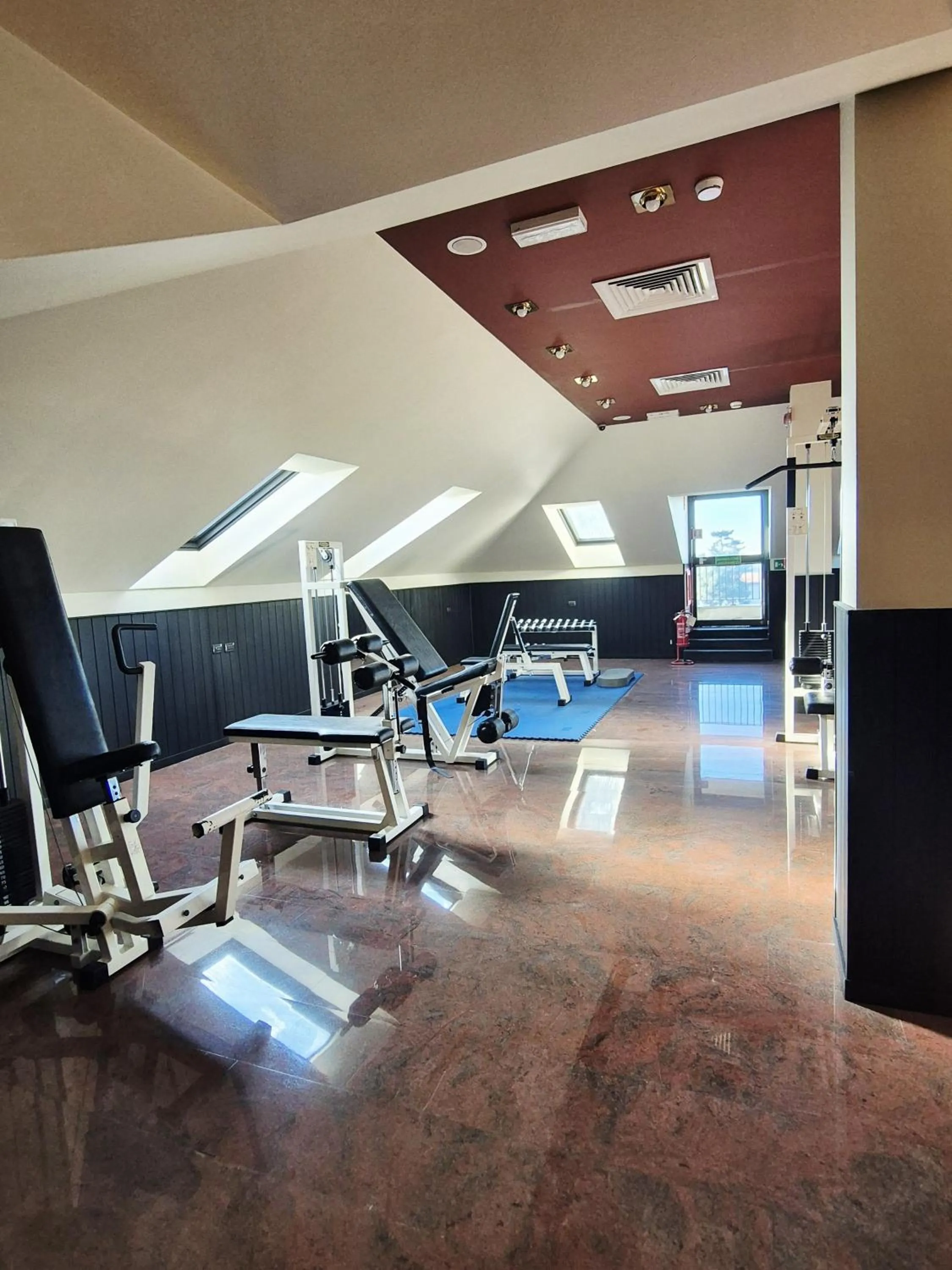 Hotel Excelsior Magenta