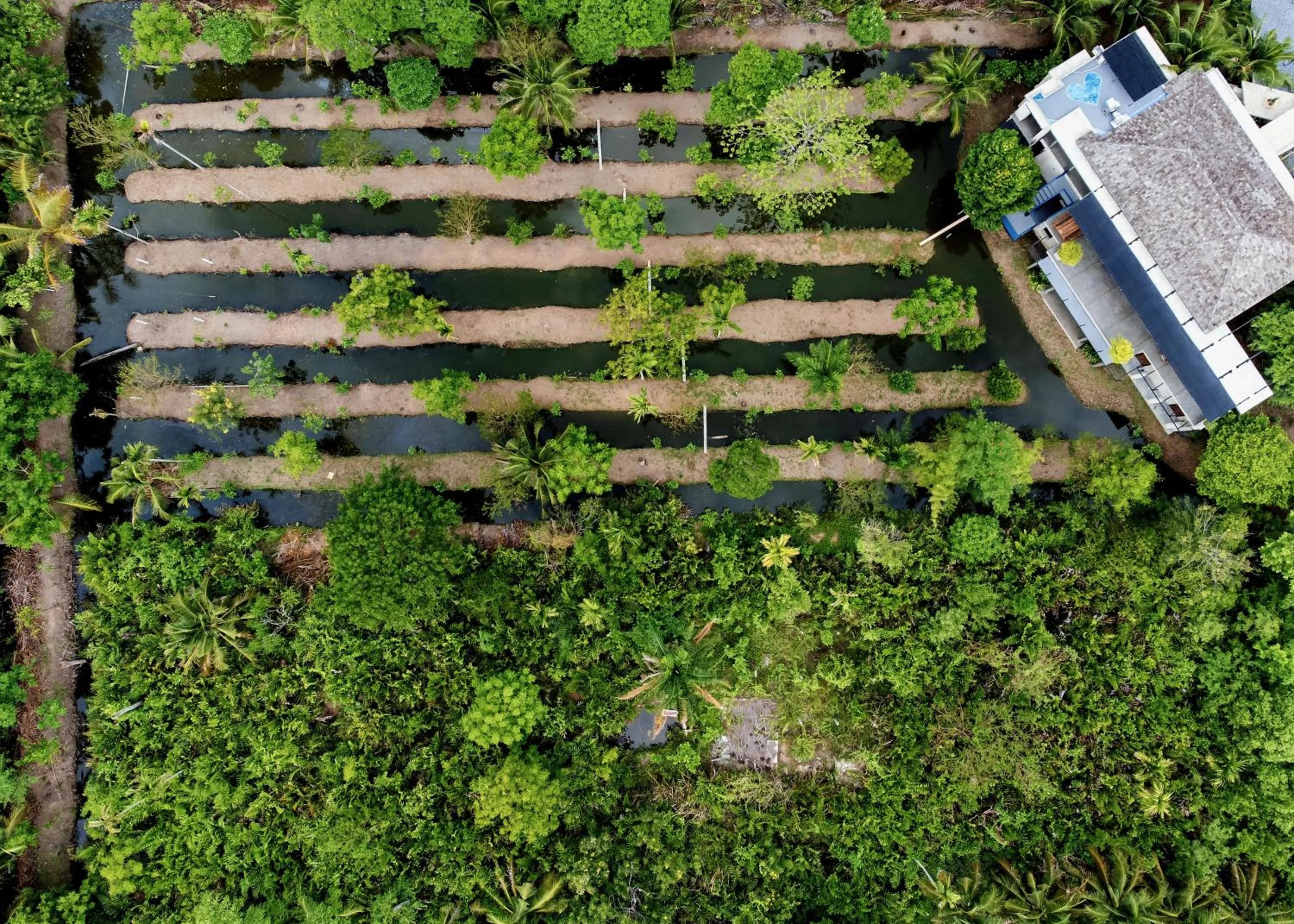 Property building in Coconut Lane Bangkok