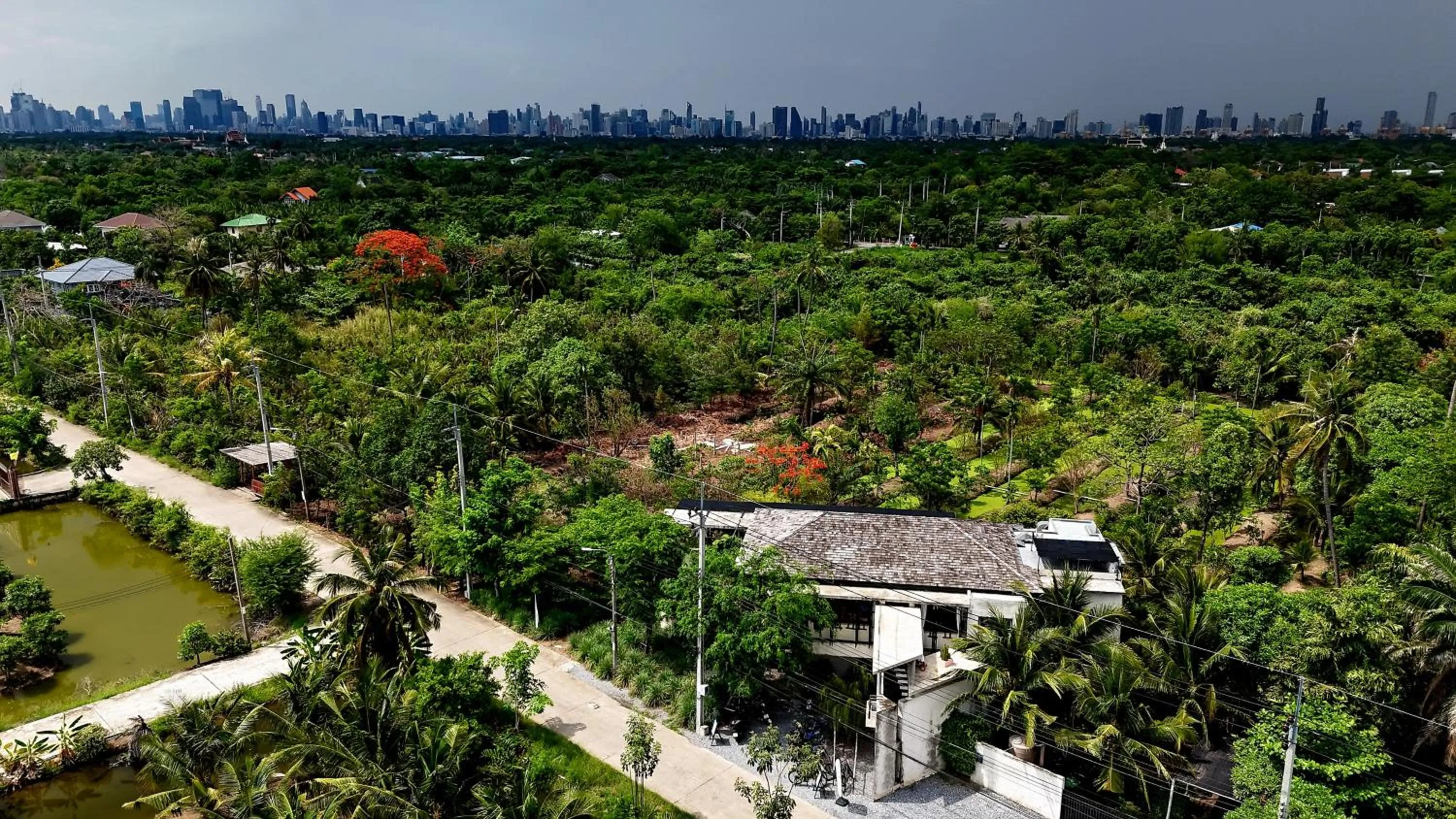 Property building in Coconut Lane Bangkok