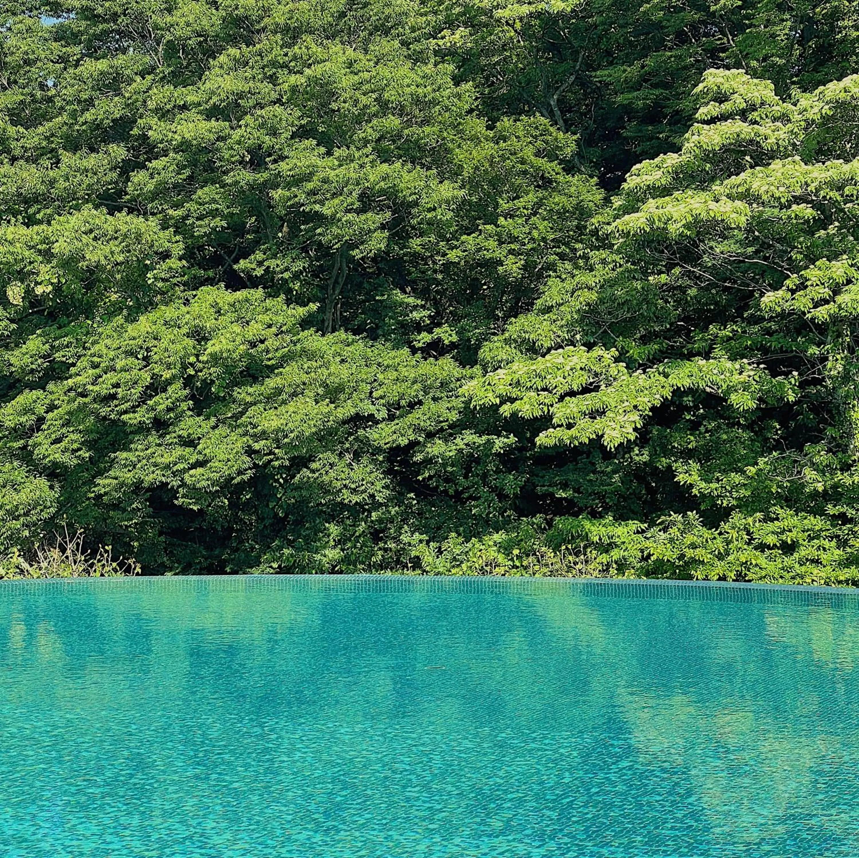 Swimming pool in Ecoland Hotel