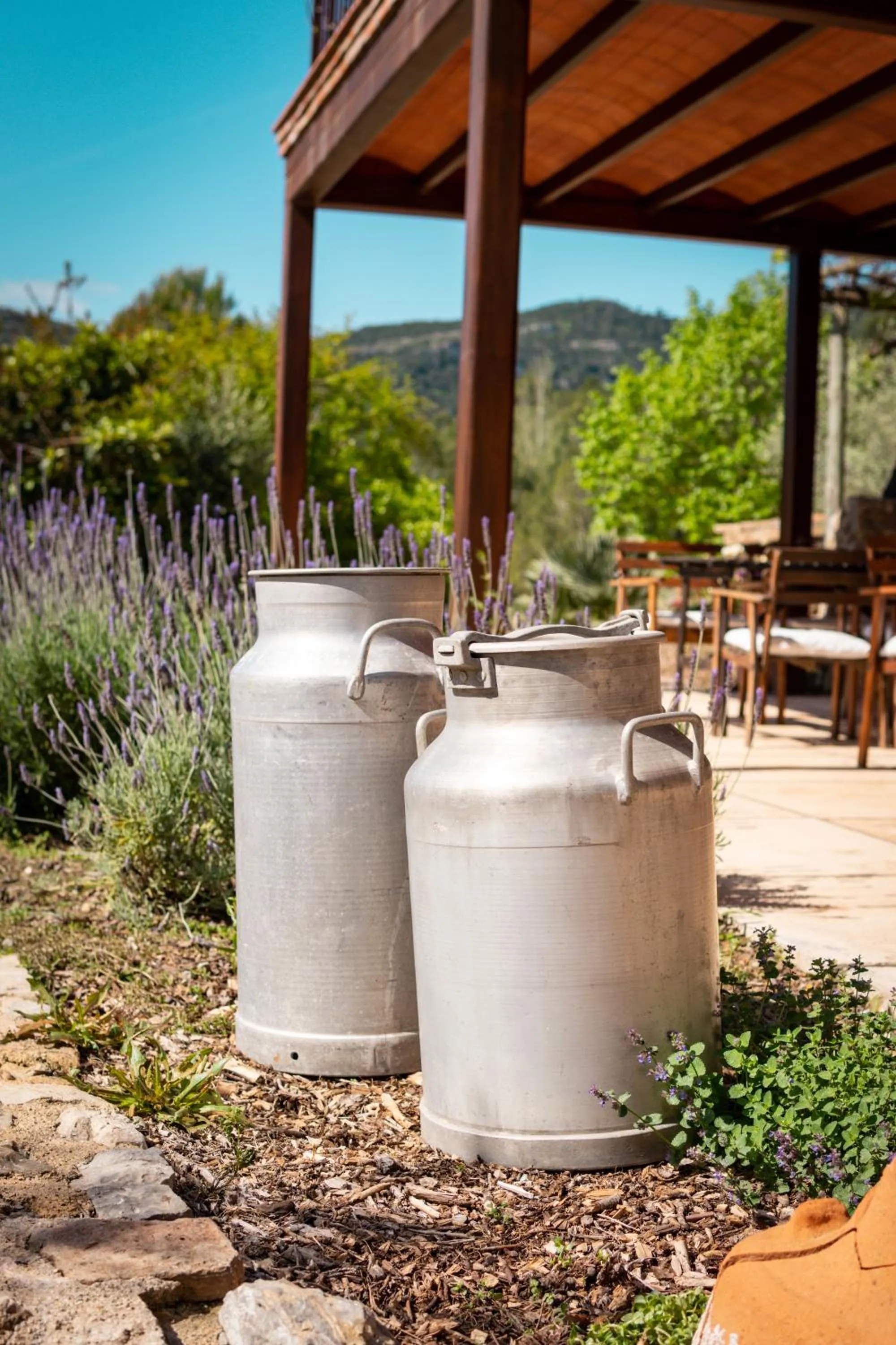 Off site in Hotel Mas Mariassa