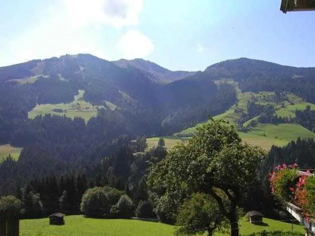 Natural landscape in Gruberhof