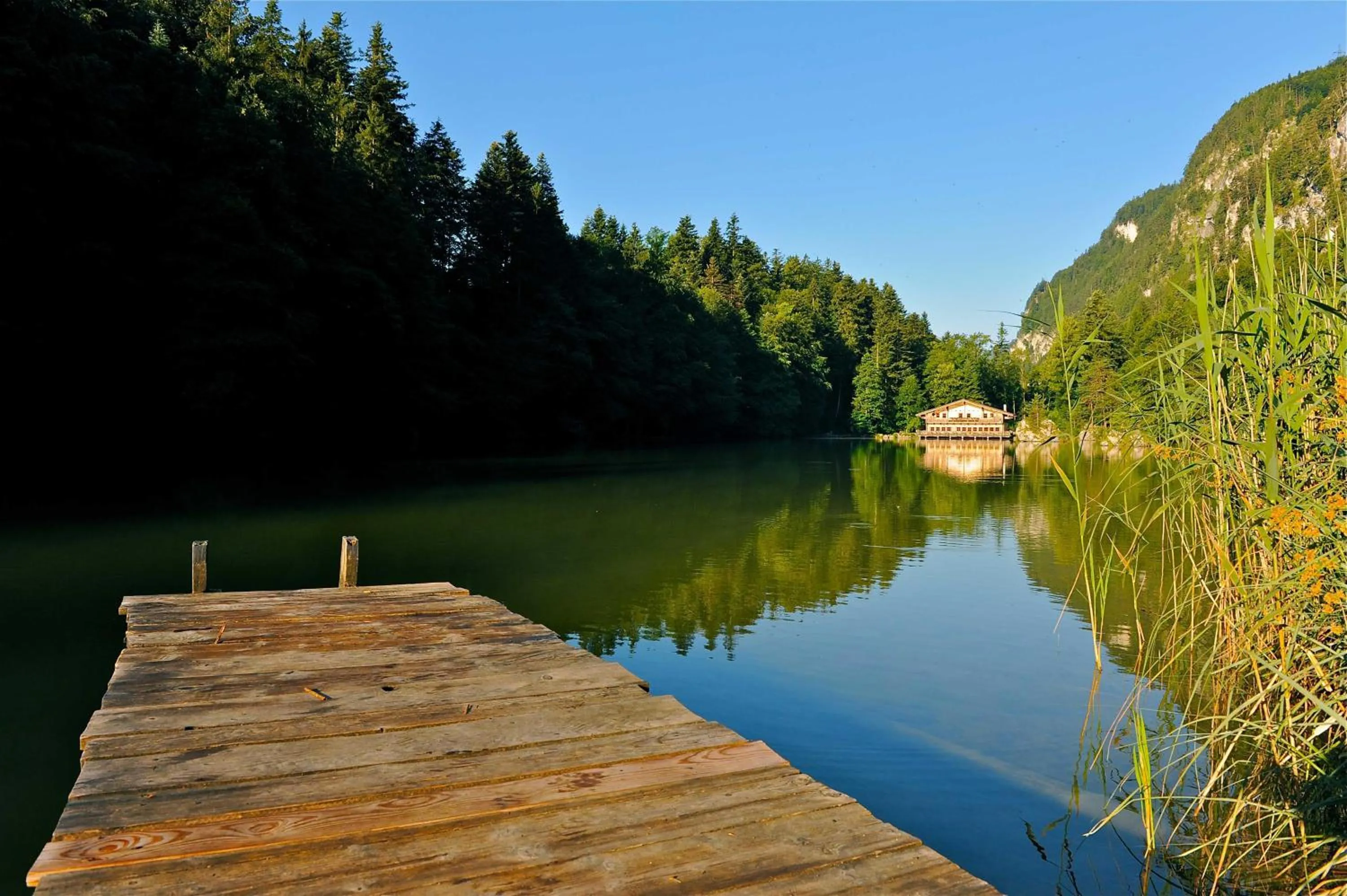 Natural landscape in Gruberhof