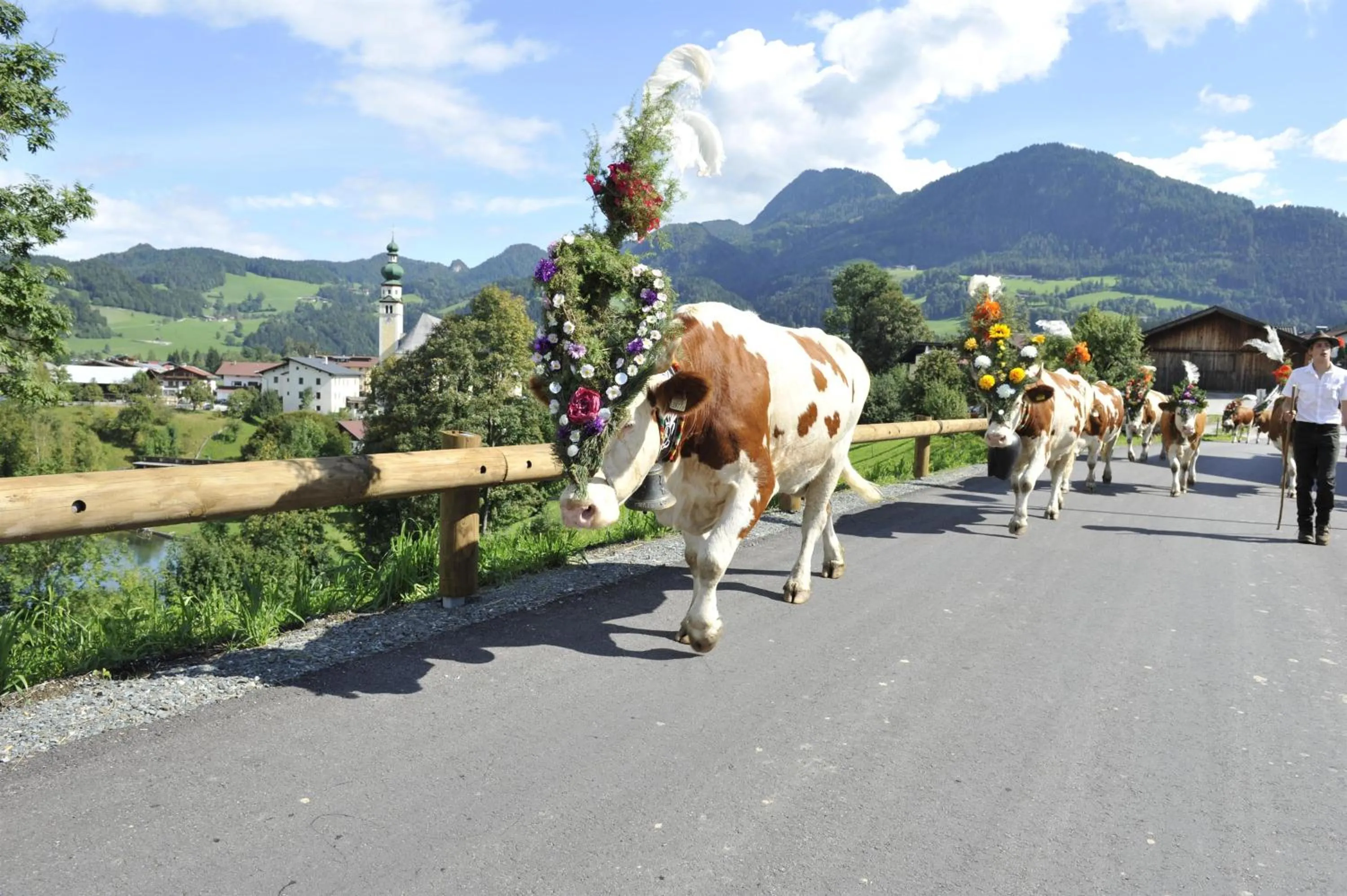 Neighbourhood in Gruberhof