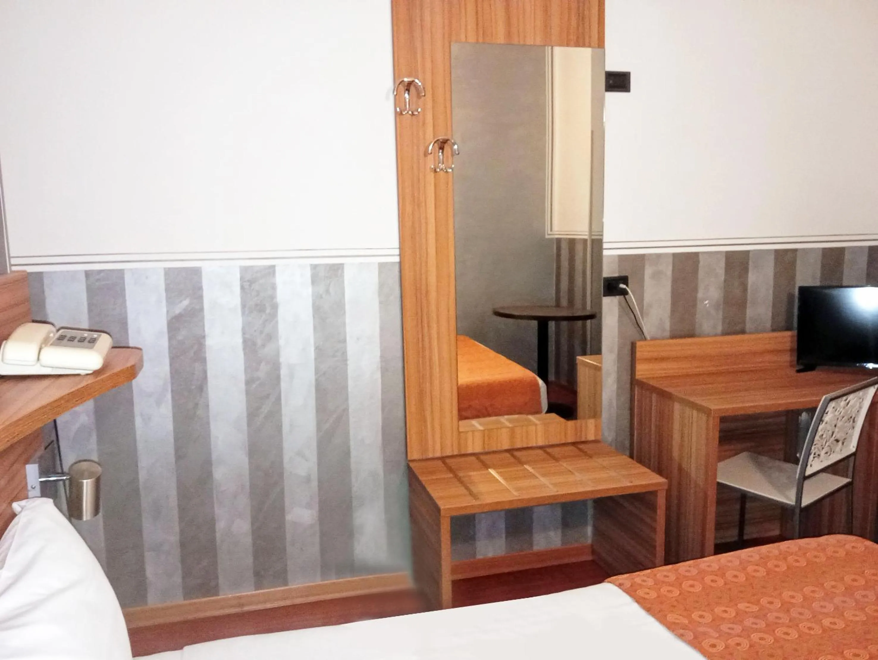 TV and multimedia in Hotel Amadeus