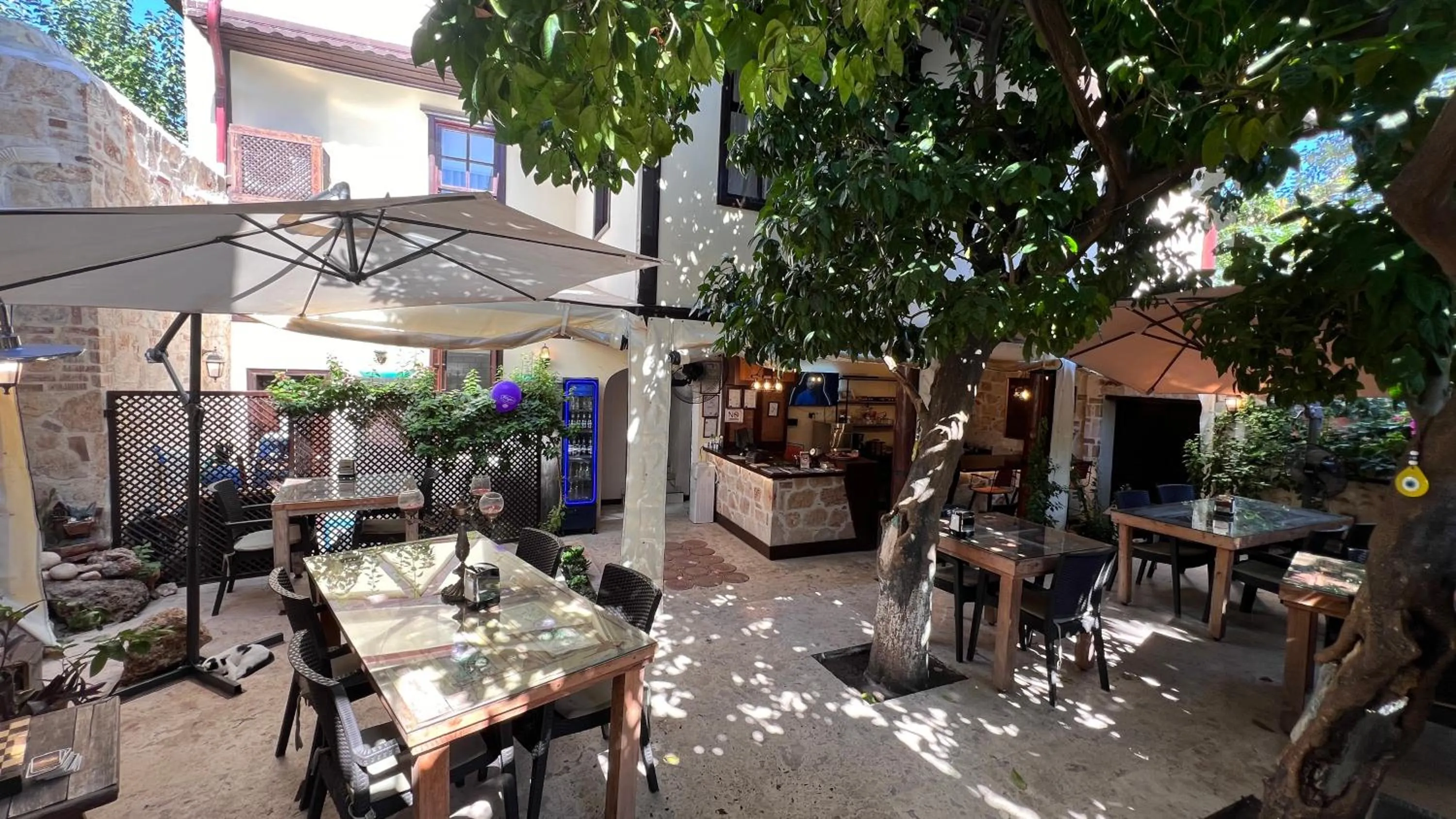 Property building in Villa Citronella Boutique Hotel