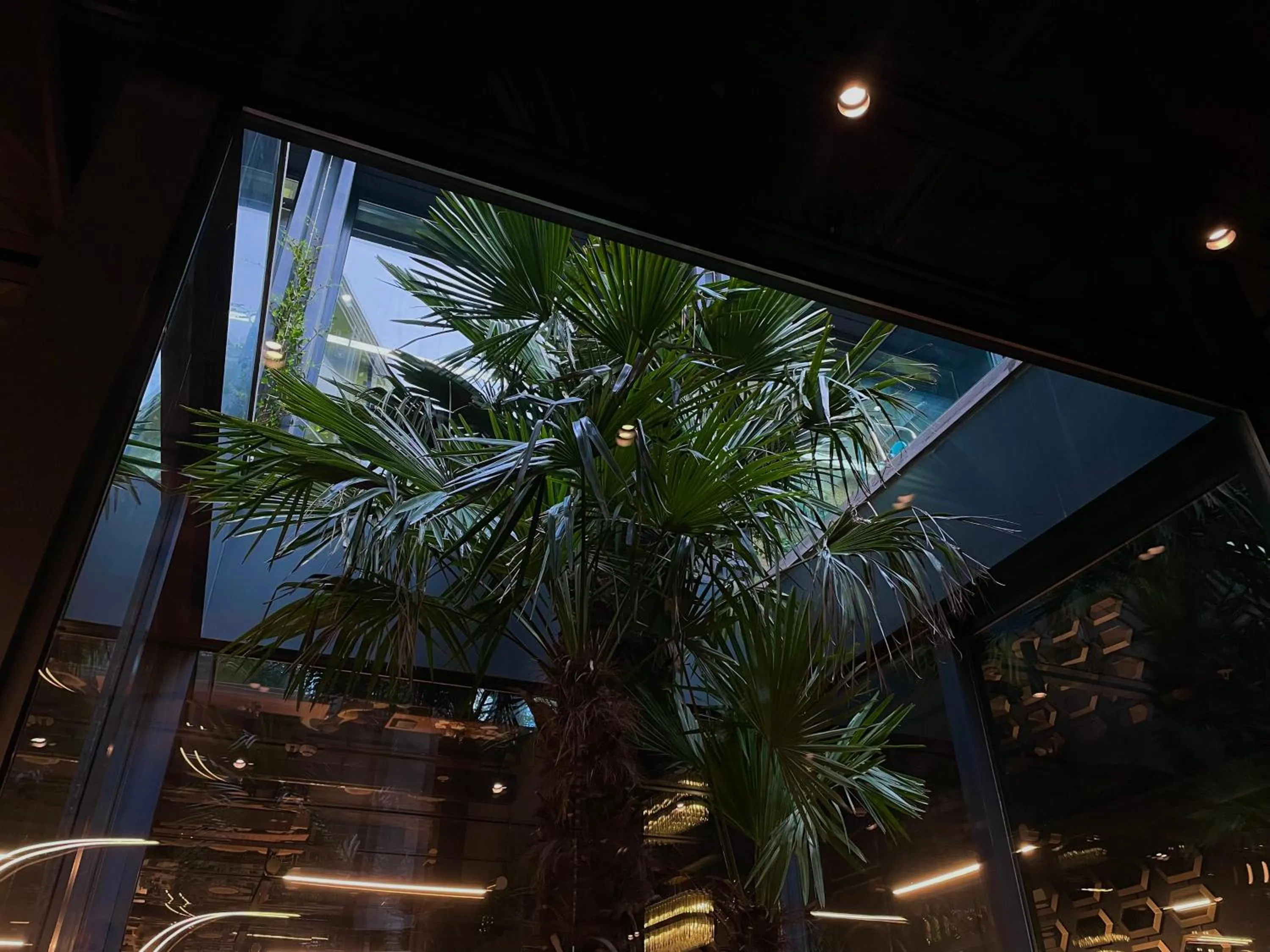 Restaurant/places to eat in Glarros OldTown