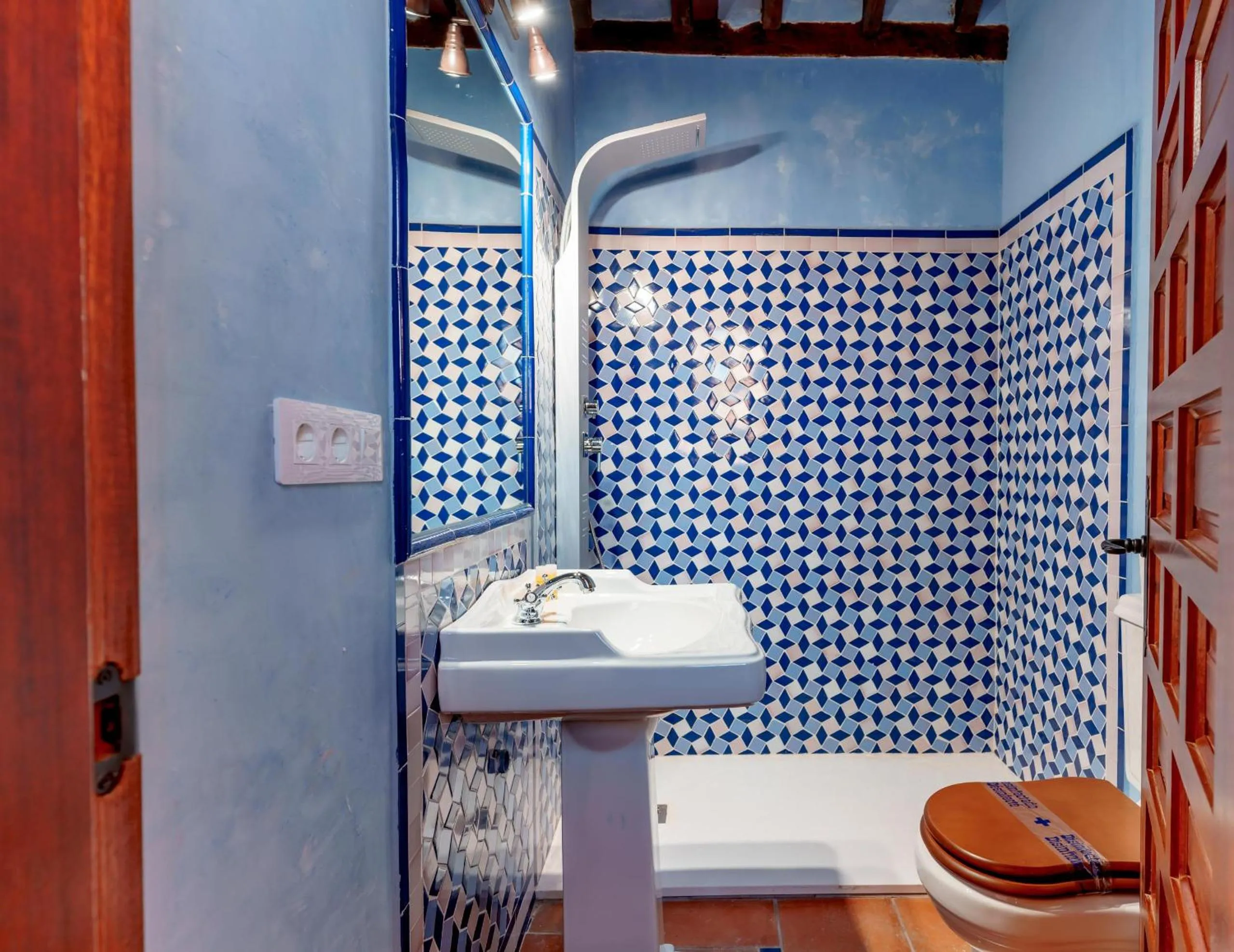 Shower in SUITES CASA DE LAS COLUMNAS