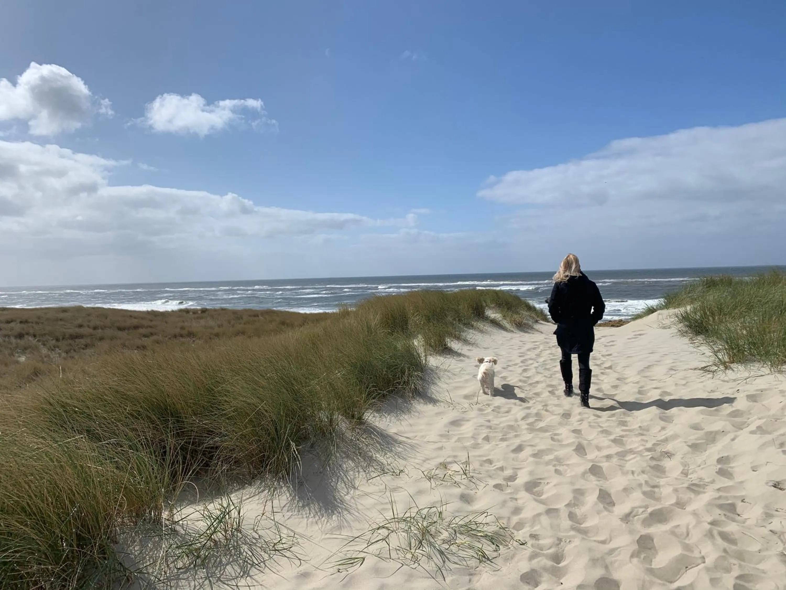Beach in Boetje 51