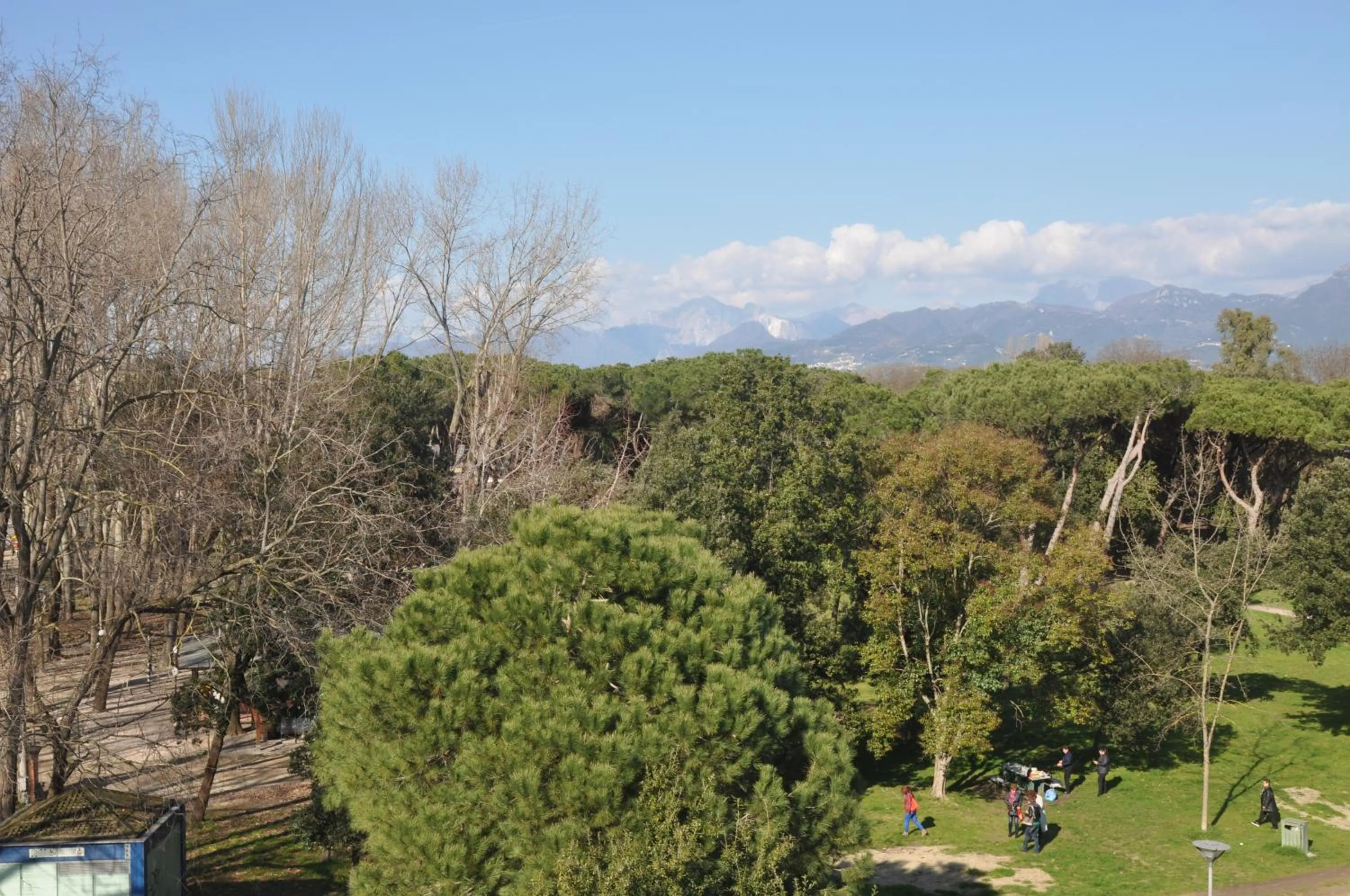 Natural landscape in Hotel Vittoria
