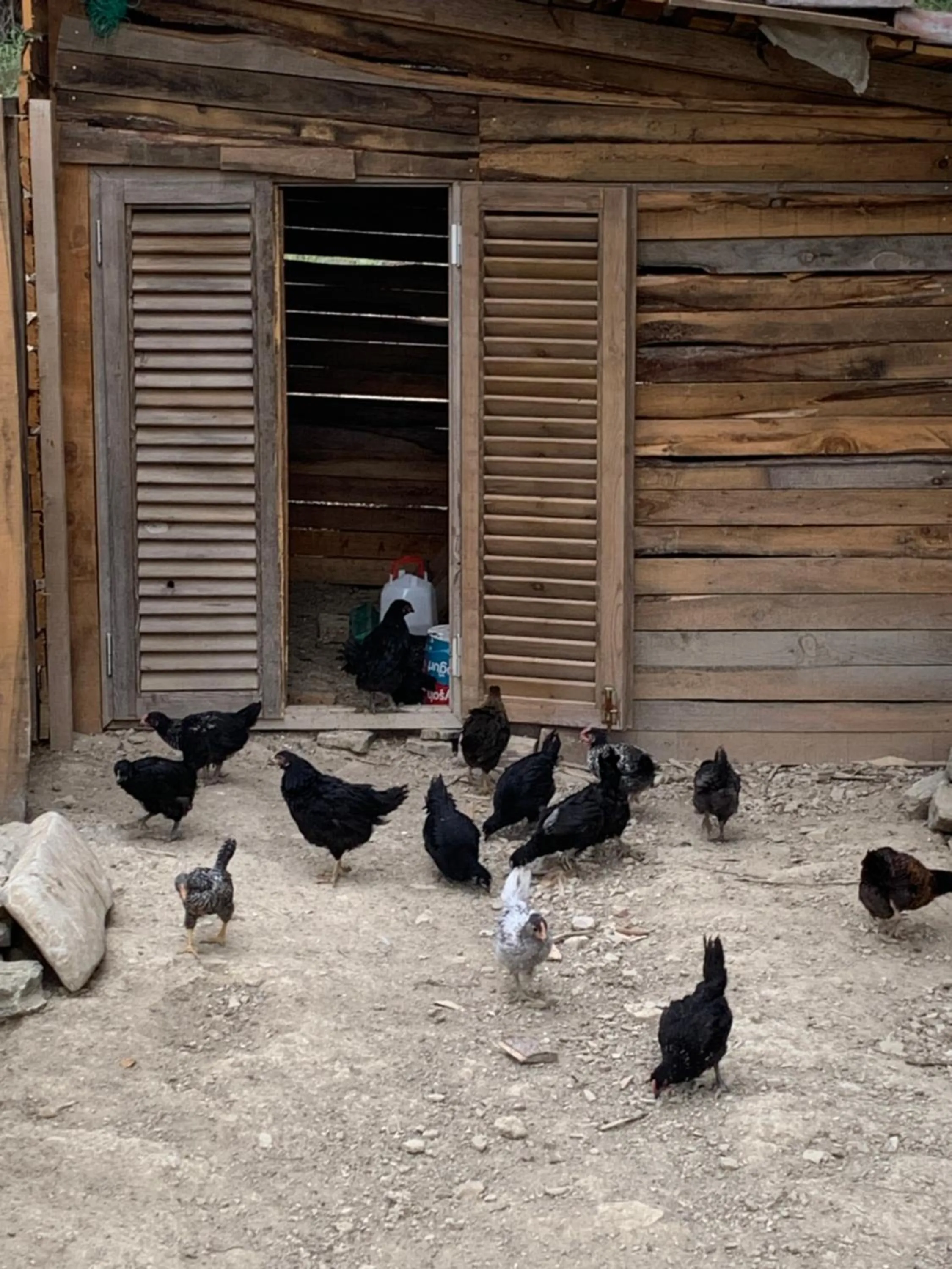 Day in Maison Green Hill Hobbit Villas & Boutique Hotel