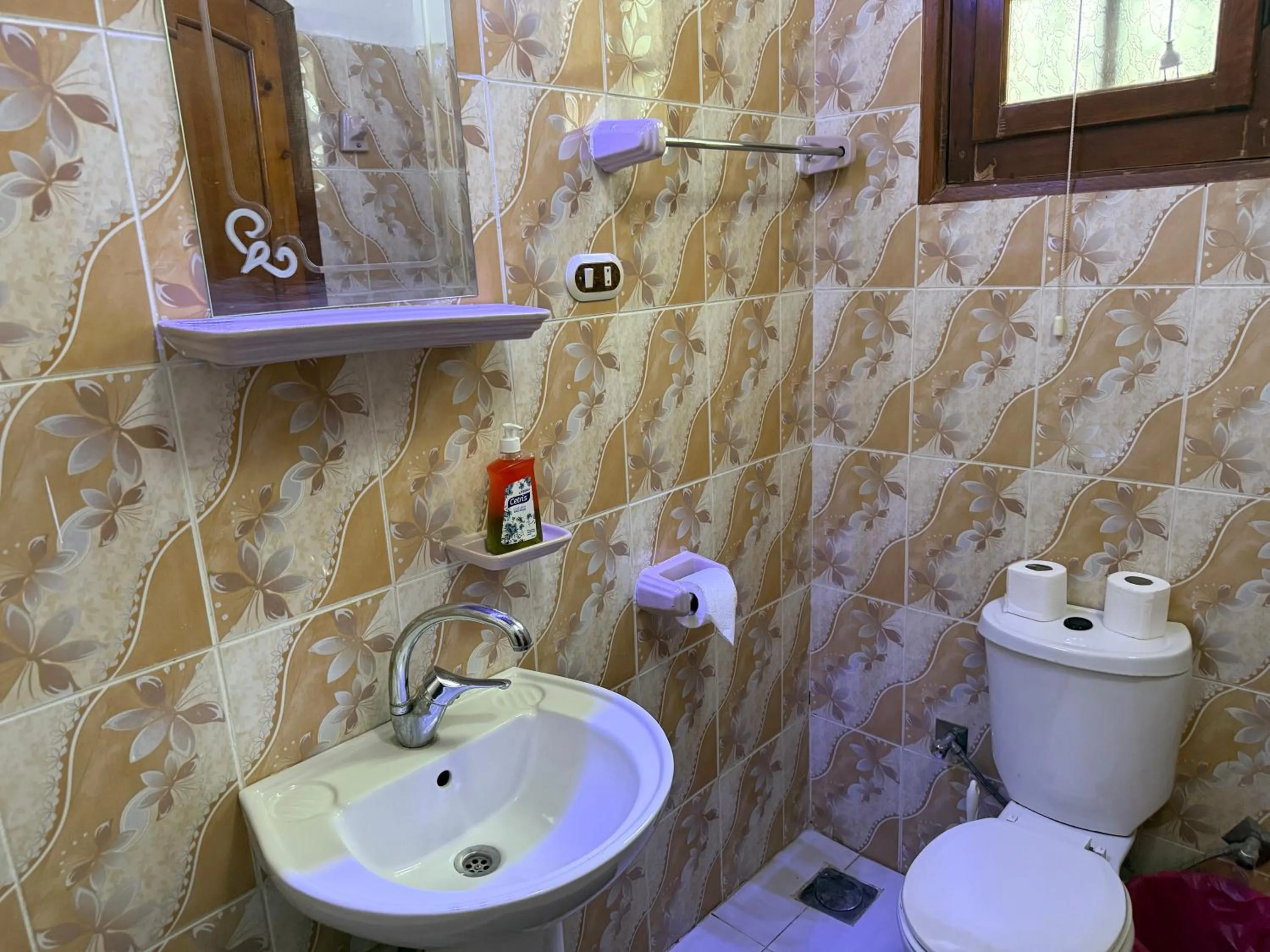 Shower in Luxor Villa Hatshepsut