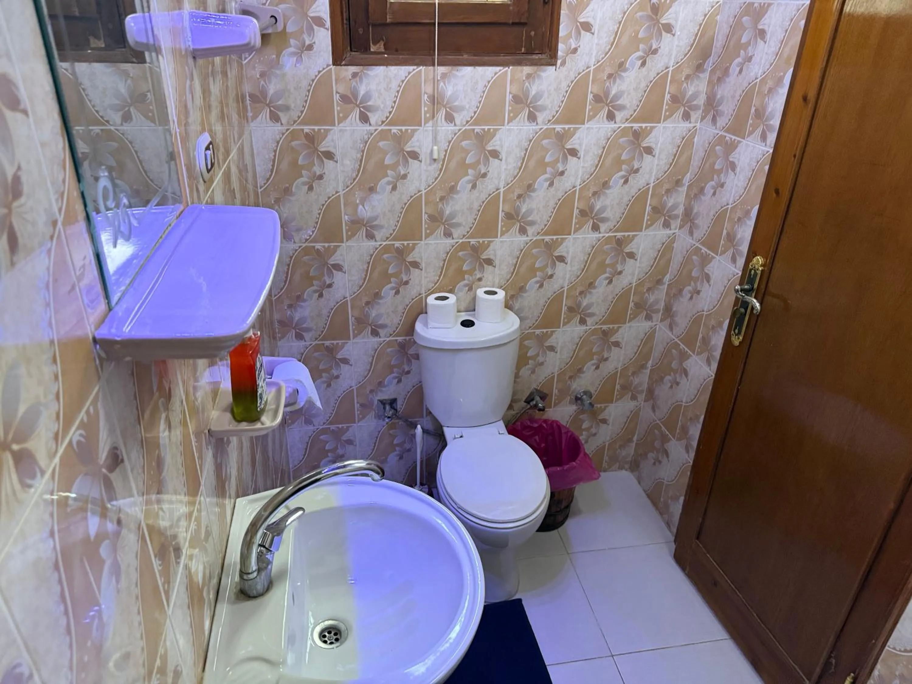 Shower in Luxor Villa Hatshepsut