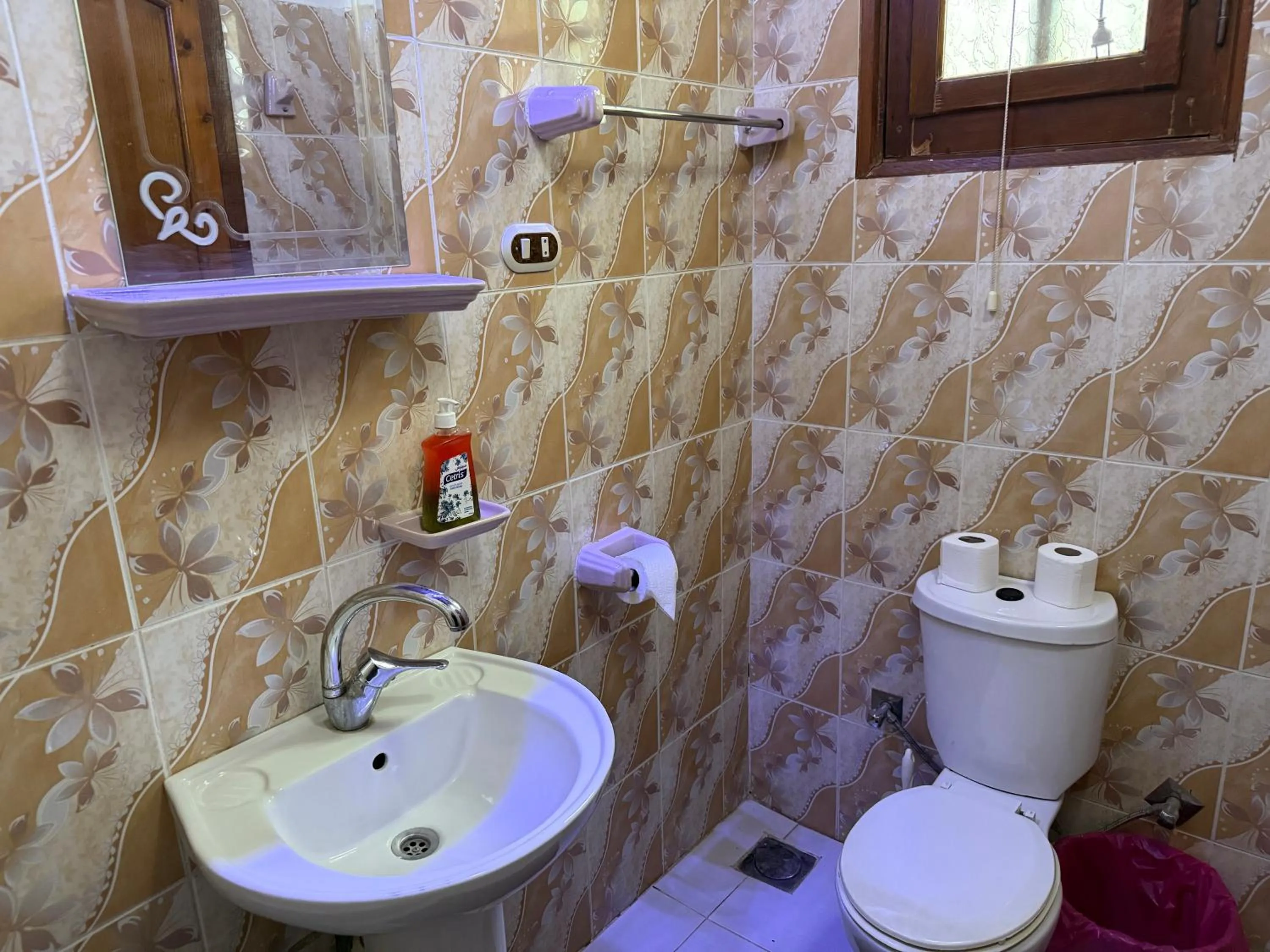 Bathroom in Luxor Villa Hatshepsut