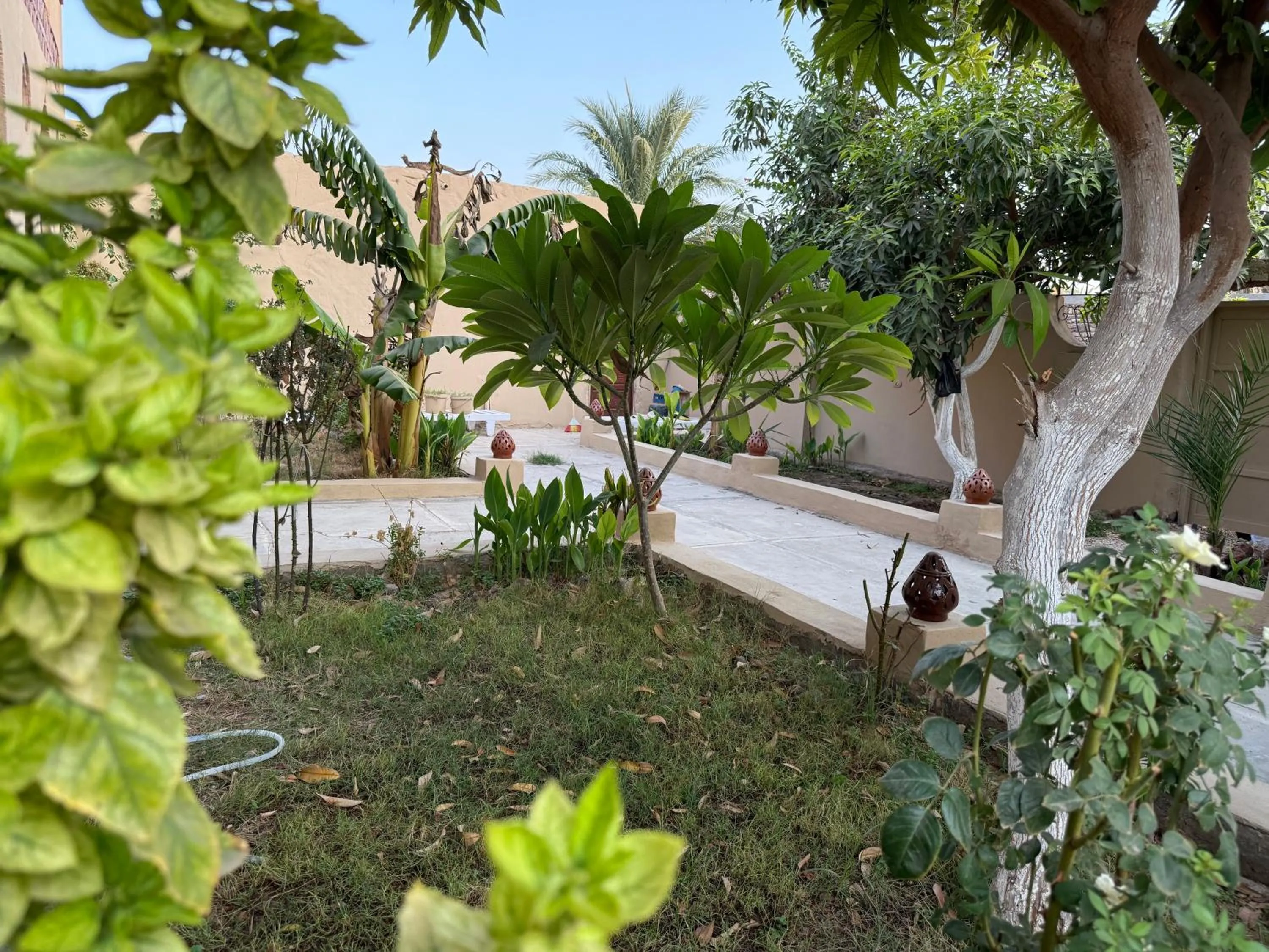 Spring in Luxor Villa Hatshepsut