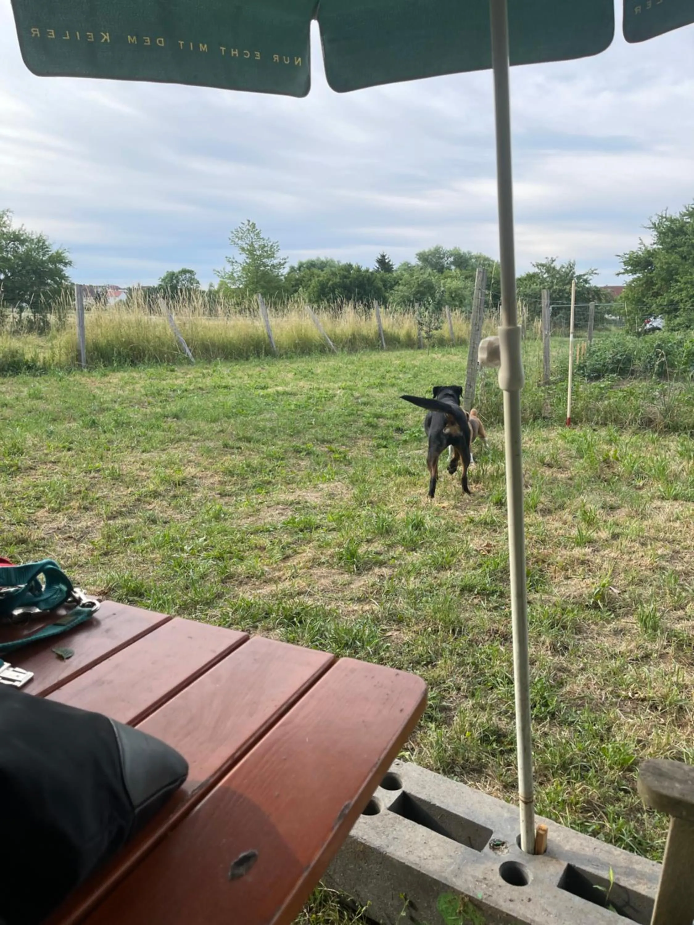 Hotel und Restaurant Neuhauser