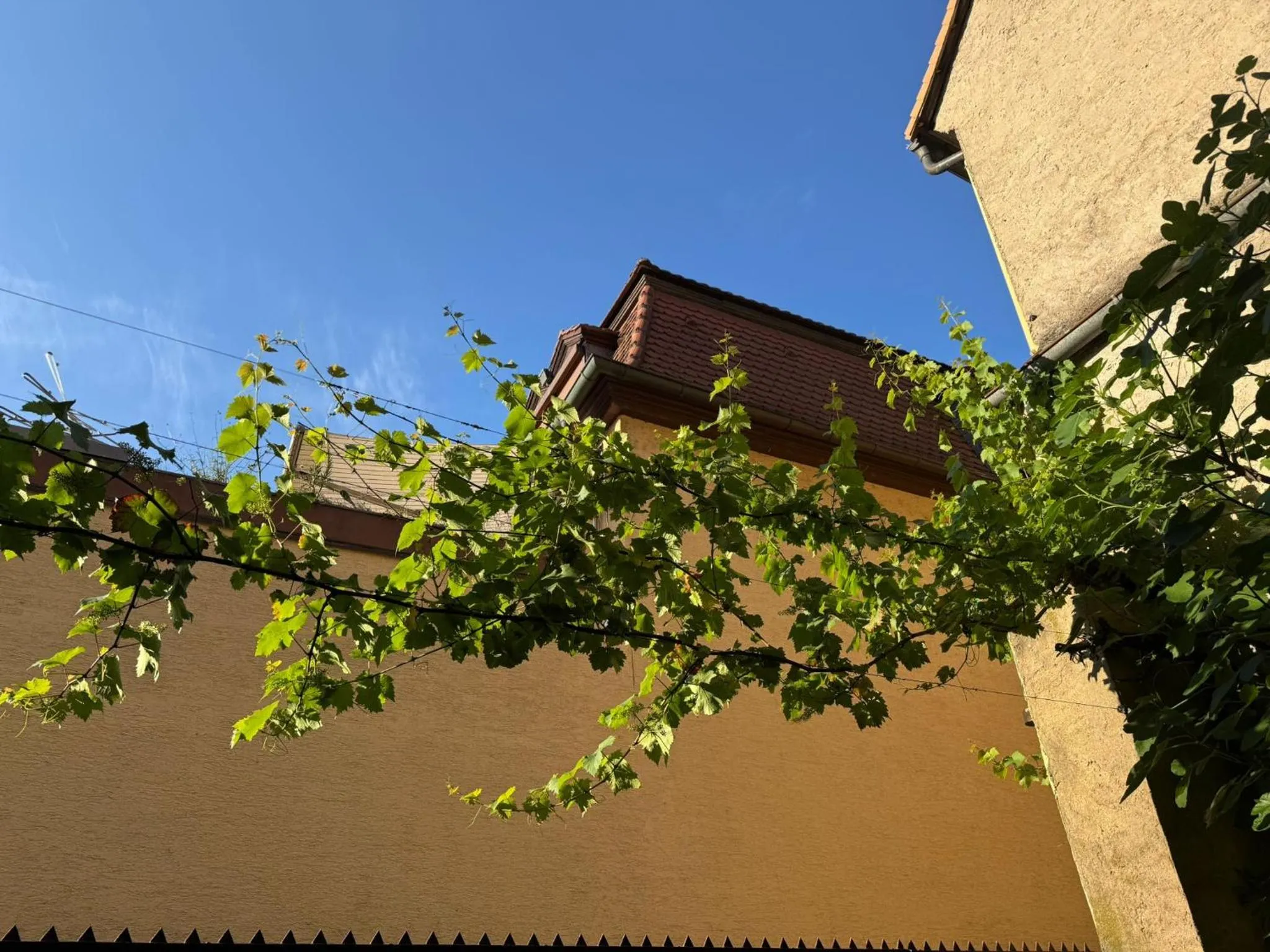 Hotel und Restaurant Neuhauser