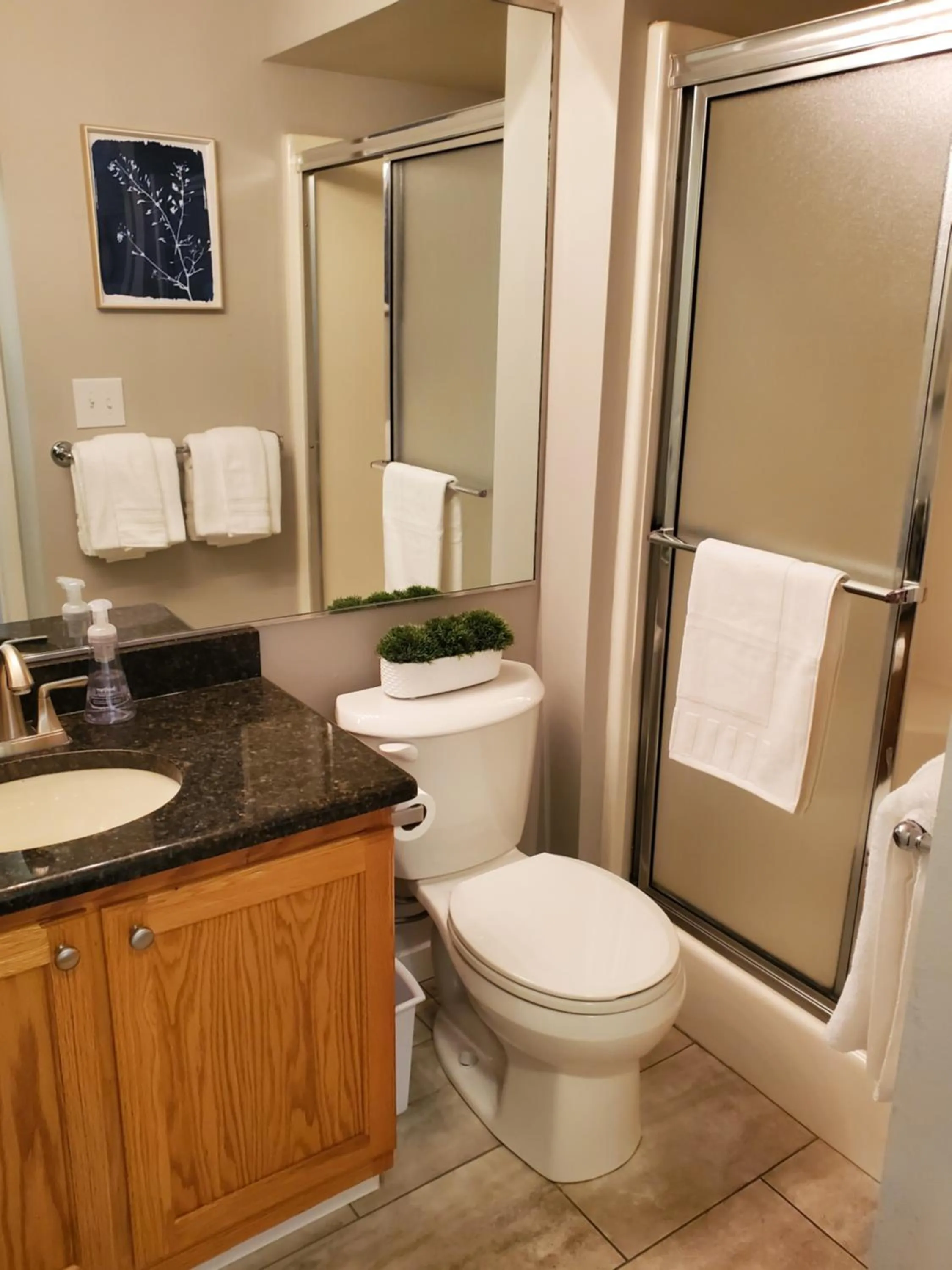 Bathroom in Treehouse Condos - Branson