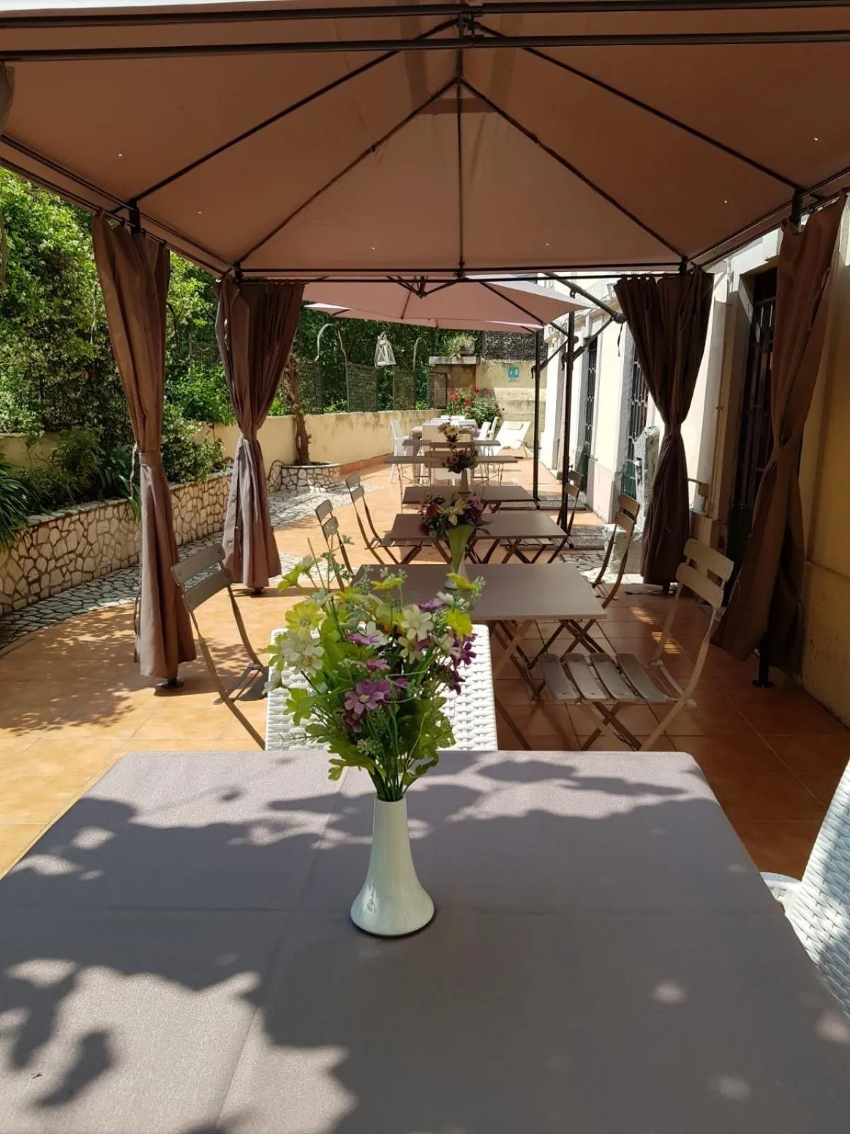 Garden in Hotel Villa Rosa