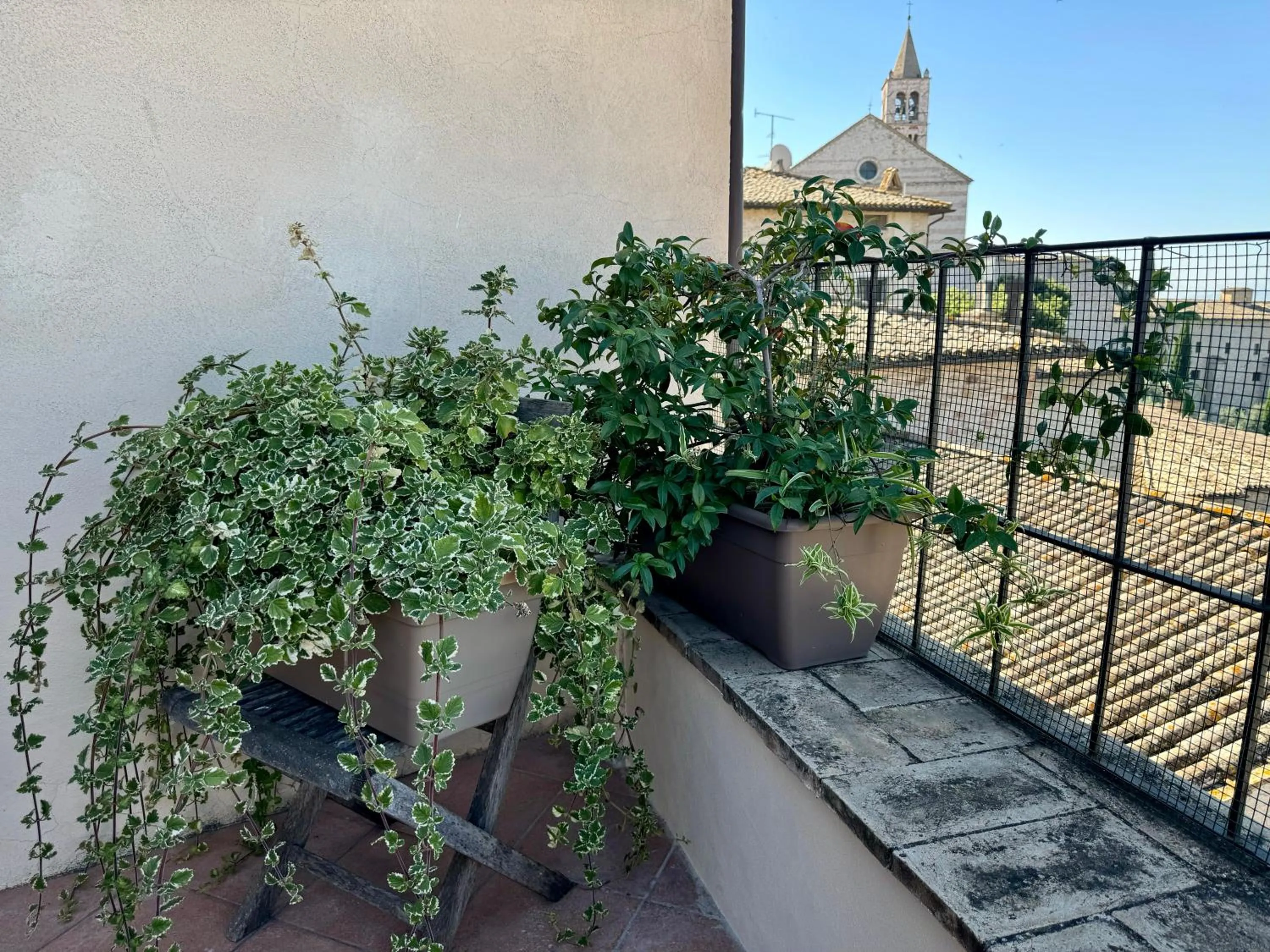 B&B La Zuppa Inglese