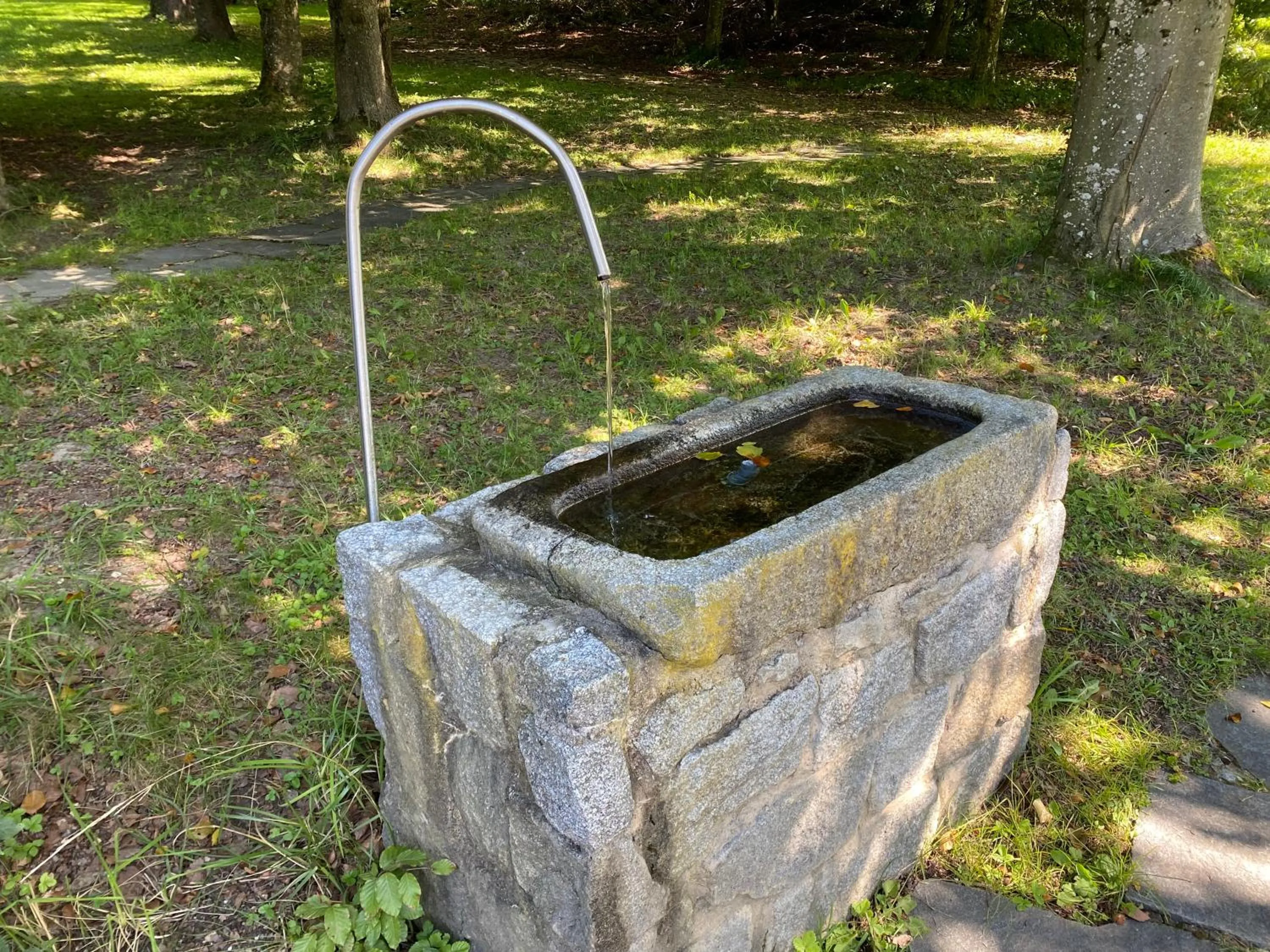 Garden in AquaQuell Bad Pilzweg