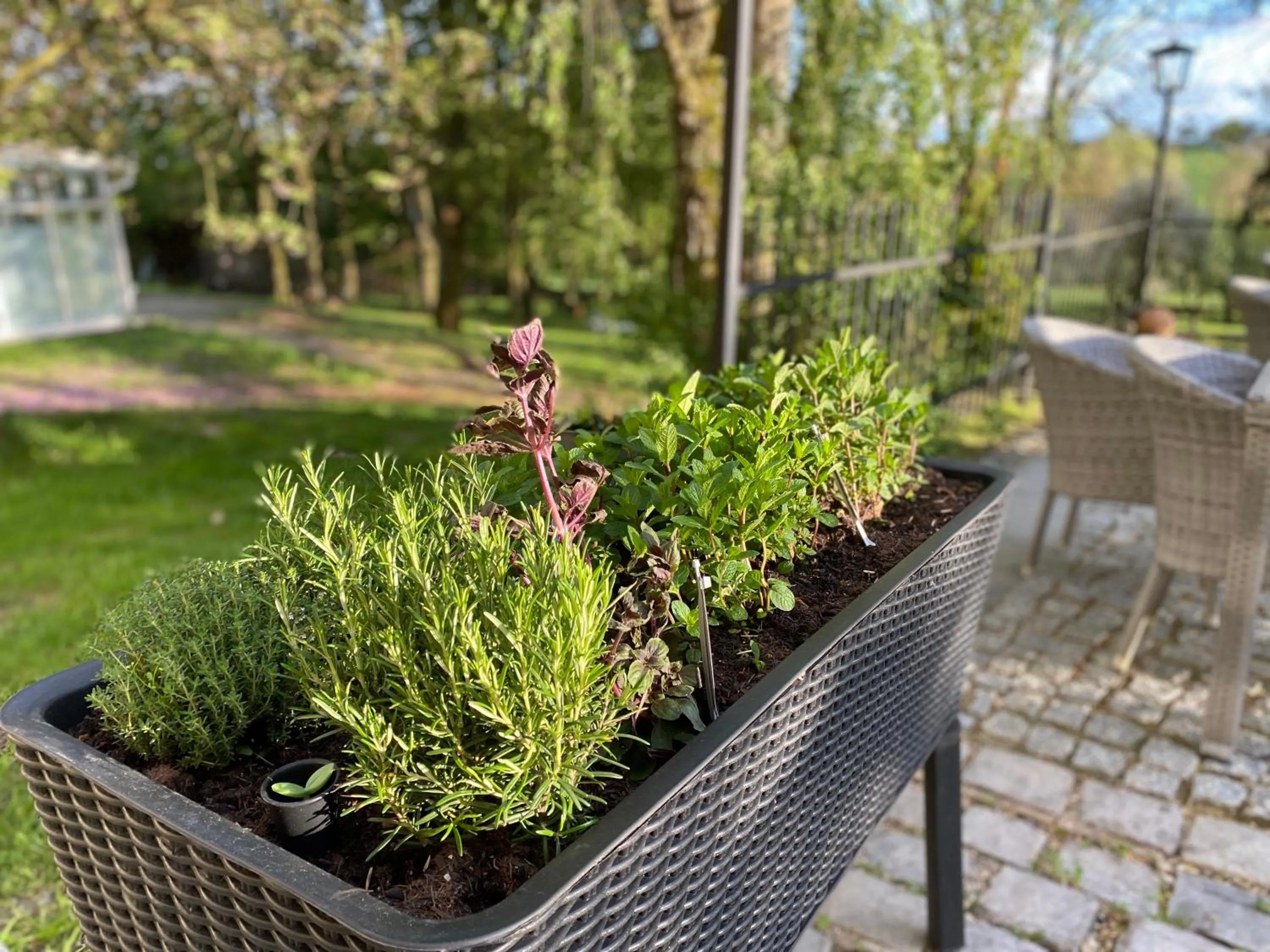 Restaurant/places to eat in AquaQuell Bad Pilzweg