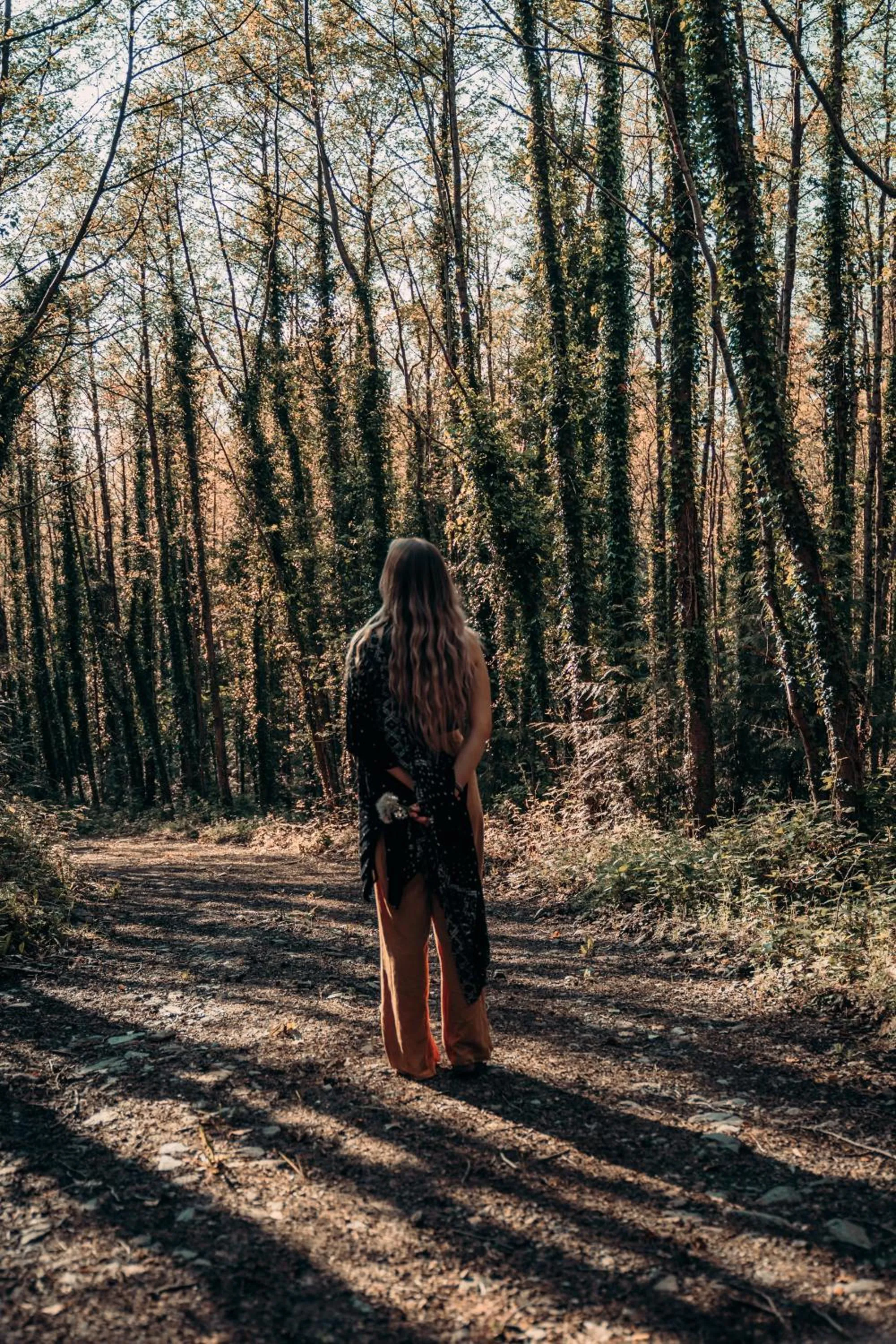 Natural landscape in Powerscourt Springs Health Farm