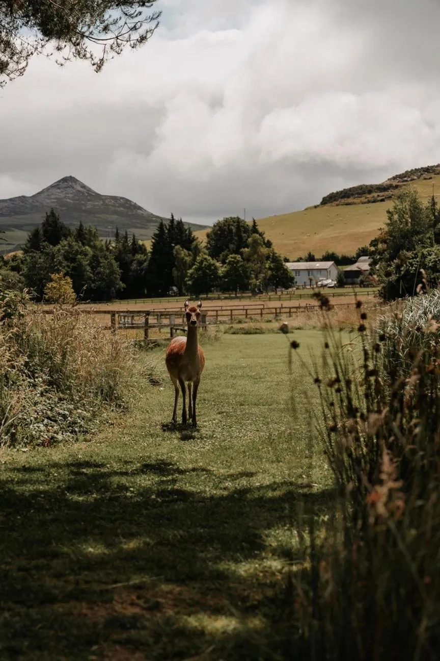 Natural landscape in Powerscourt Springs Health Farm