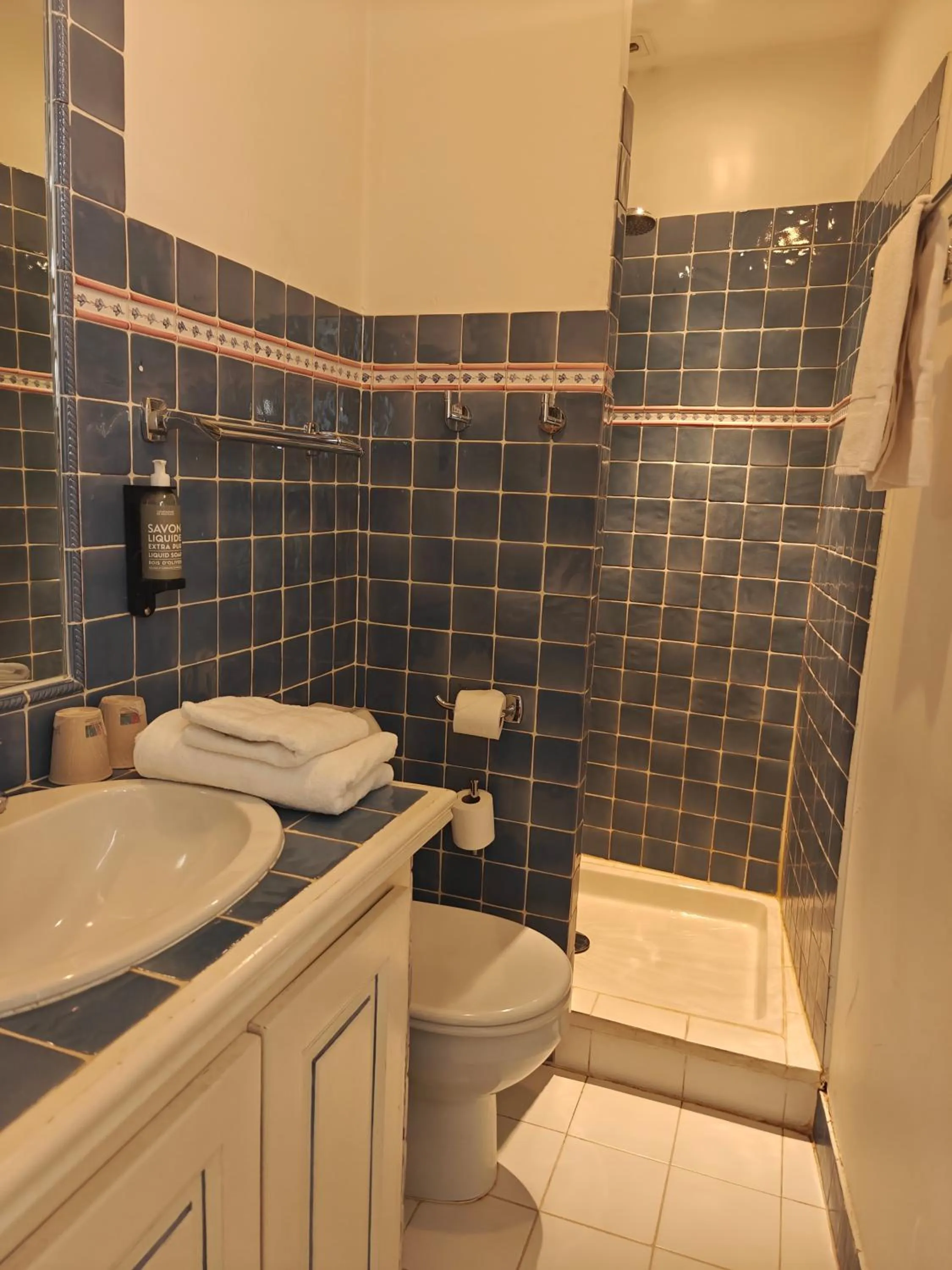 Shower in Hôtel l'Arena