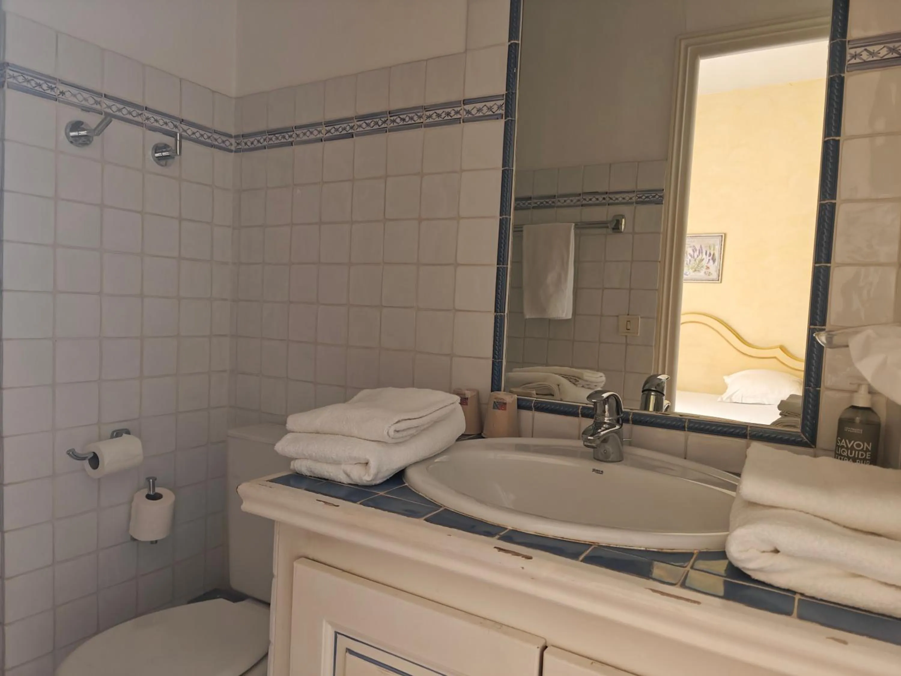 Toilet in Hôtel l'Arena