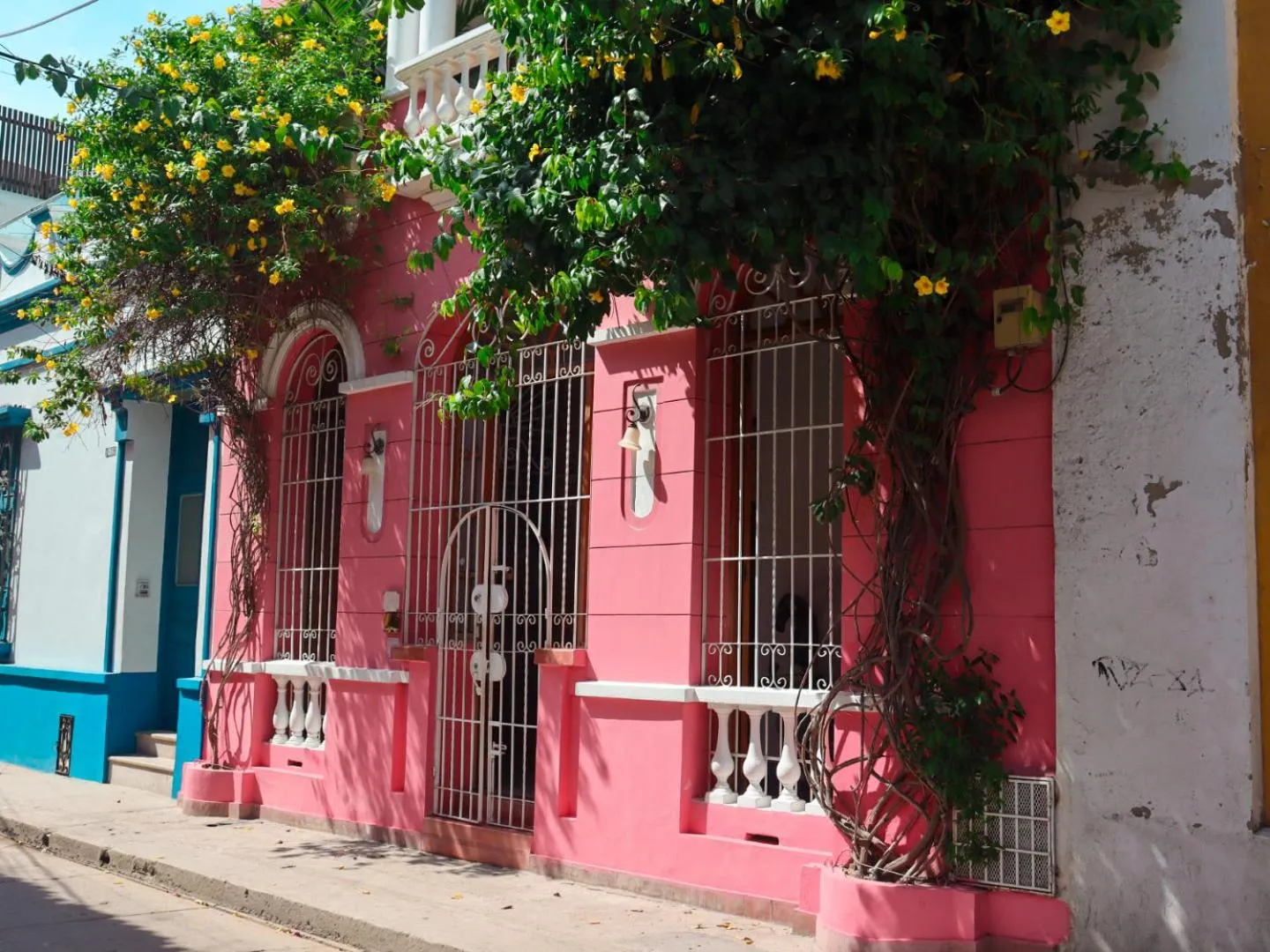 Property building in Casa Rosa - Alma Hotels