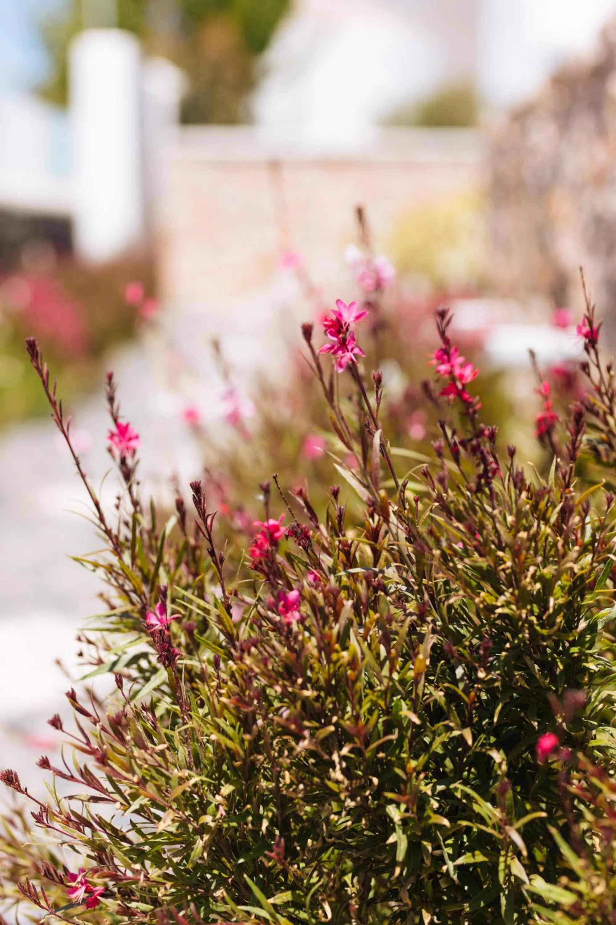 ILIADA-ODYSSEAS RESORT